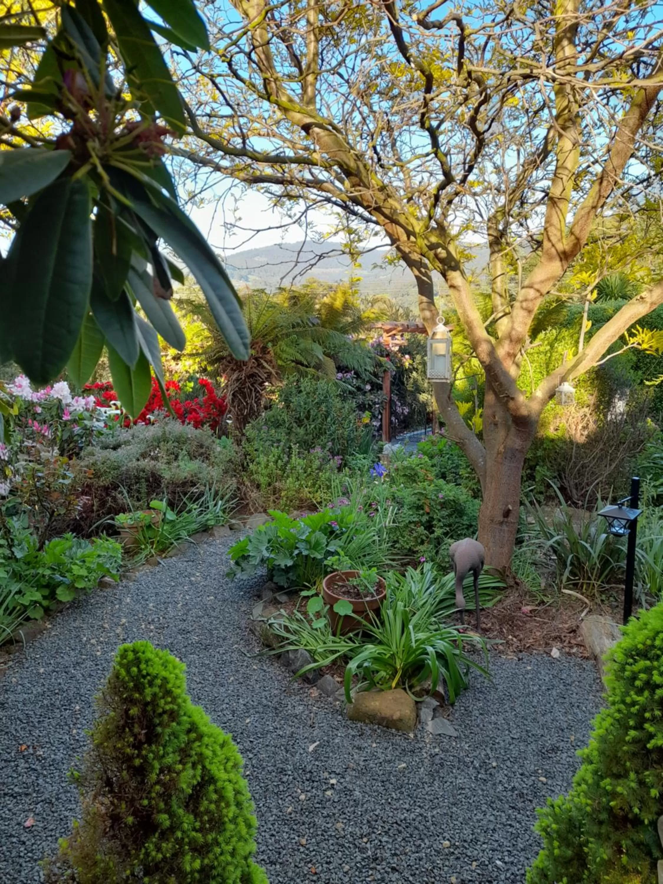 Hillside Bed and Breakfast