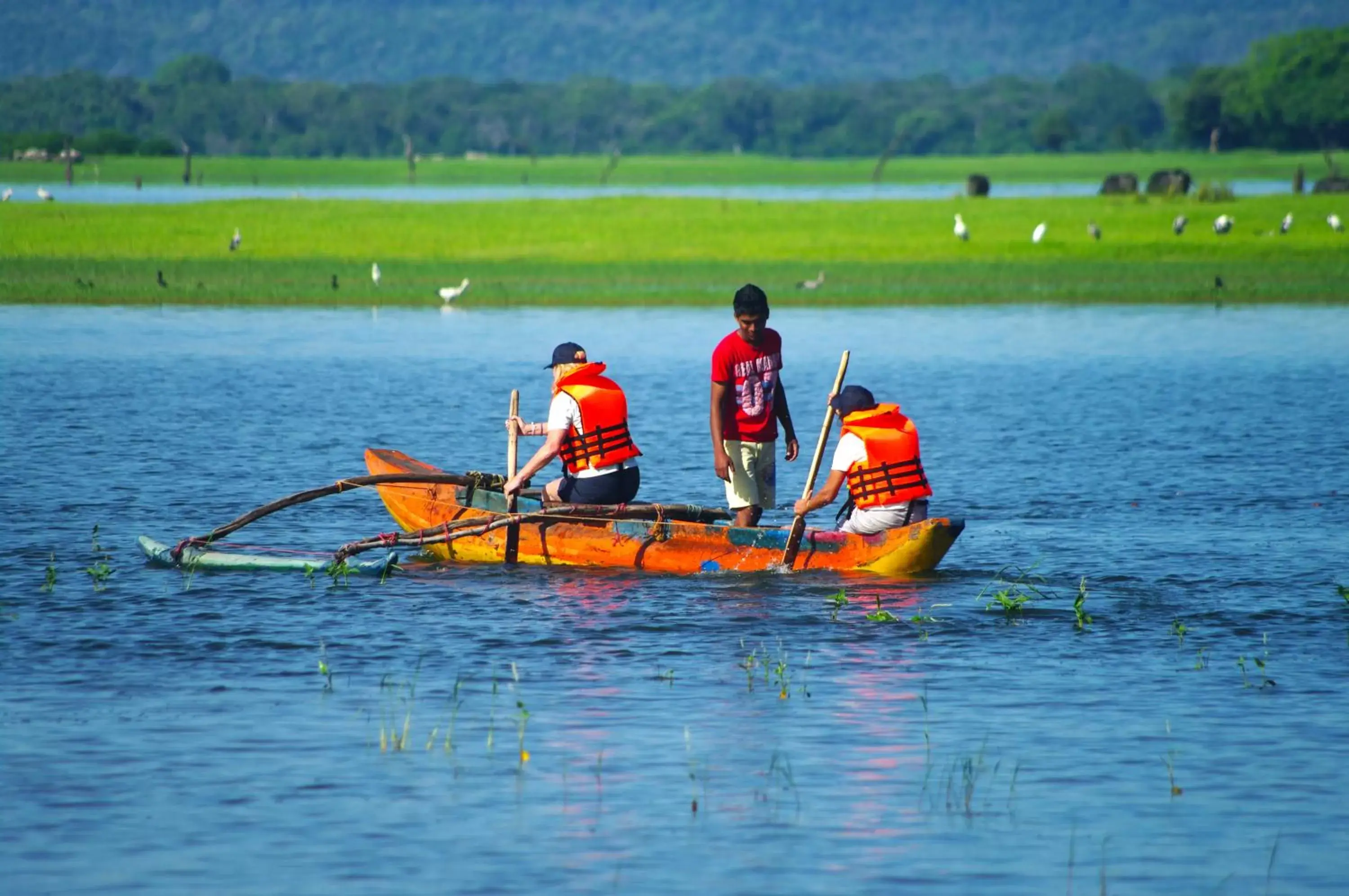 Activities, Canoeing in Hotel Sudu Araliya