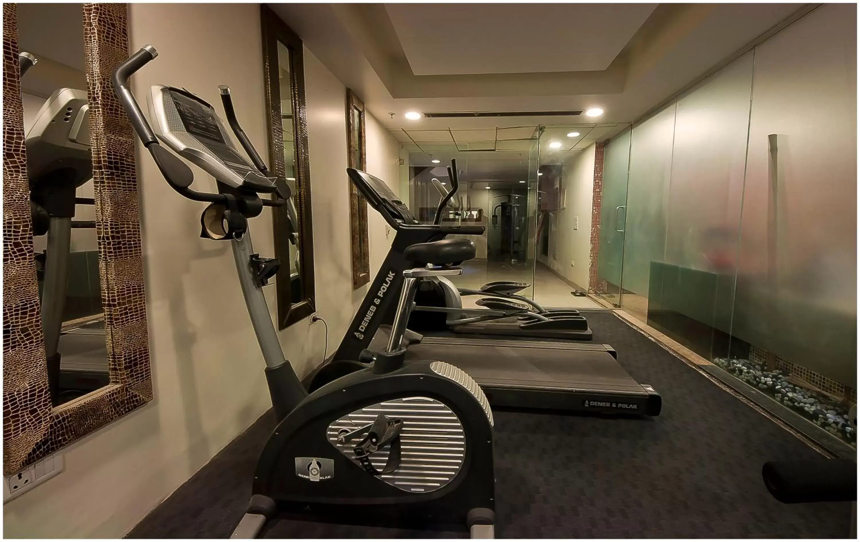 Fitness centre/facilities, Fitness Center/Facilities in Hotel Aura