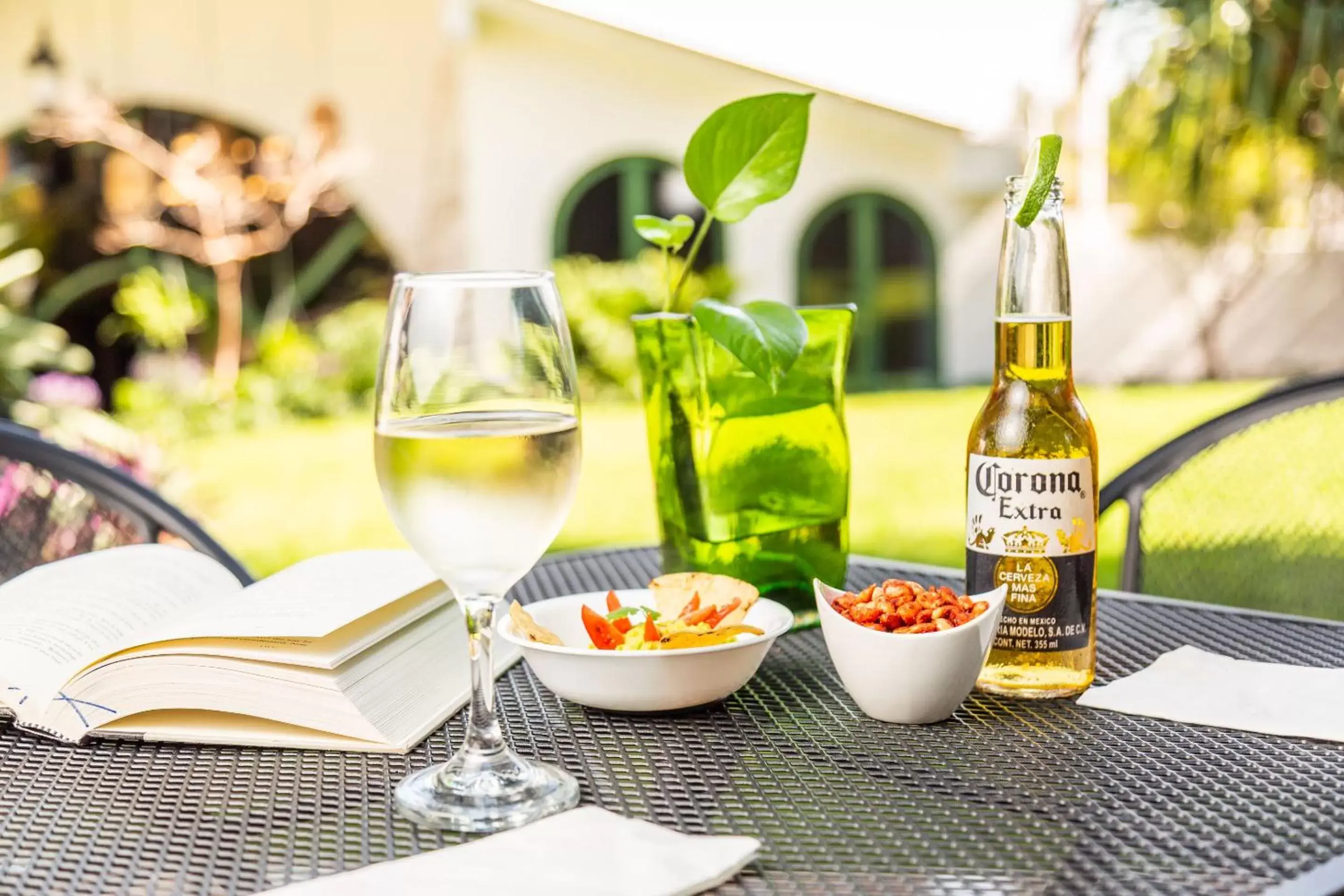 Garden in Plaza Chapala Hotel