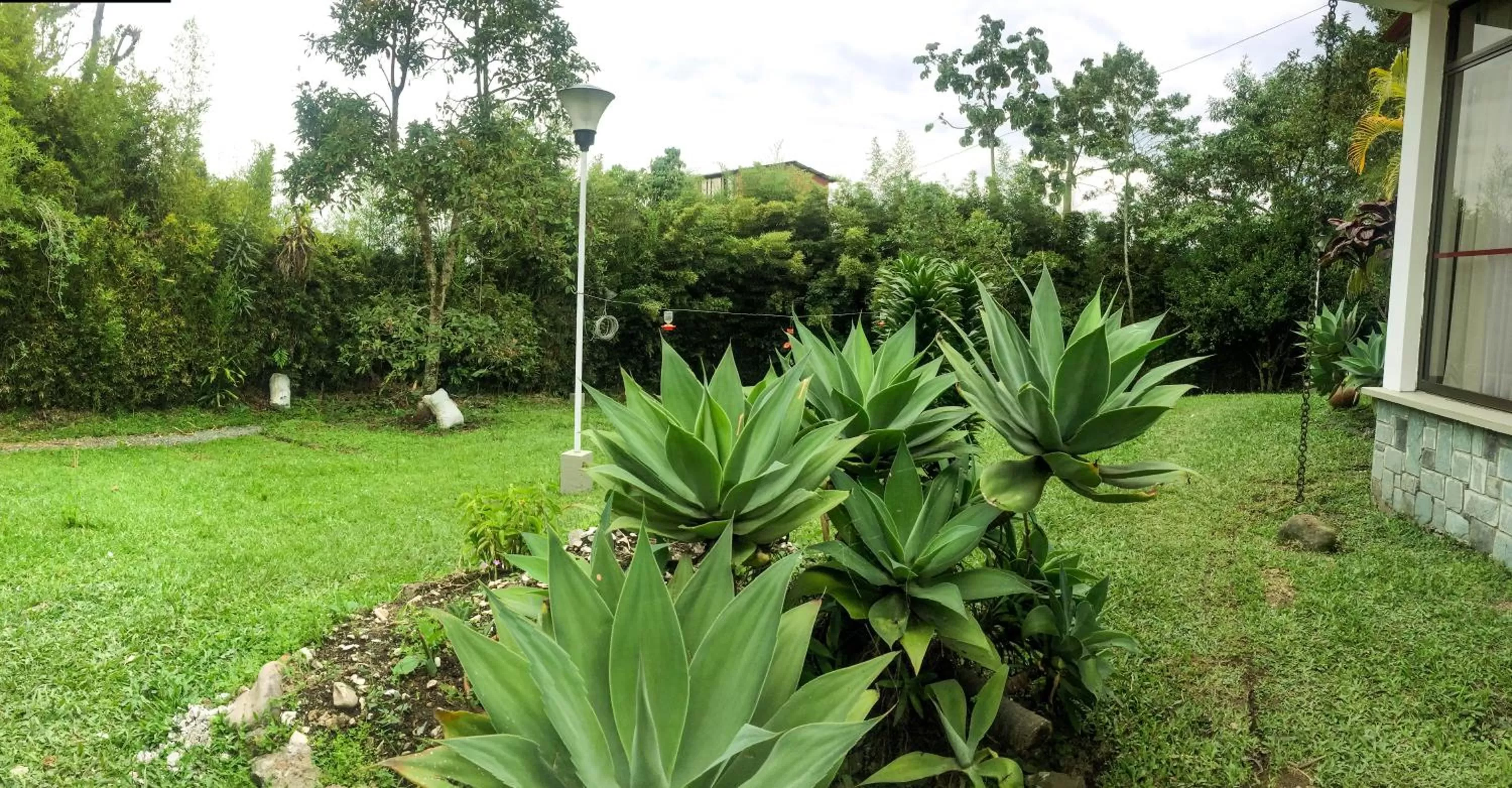 Garden in Cotinga Hotel Spa