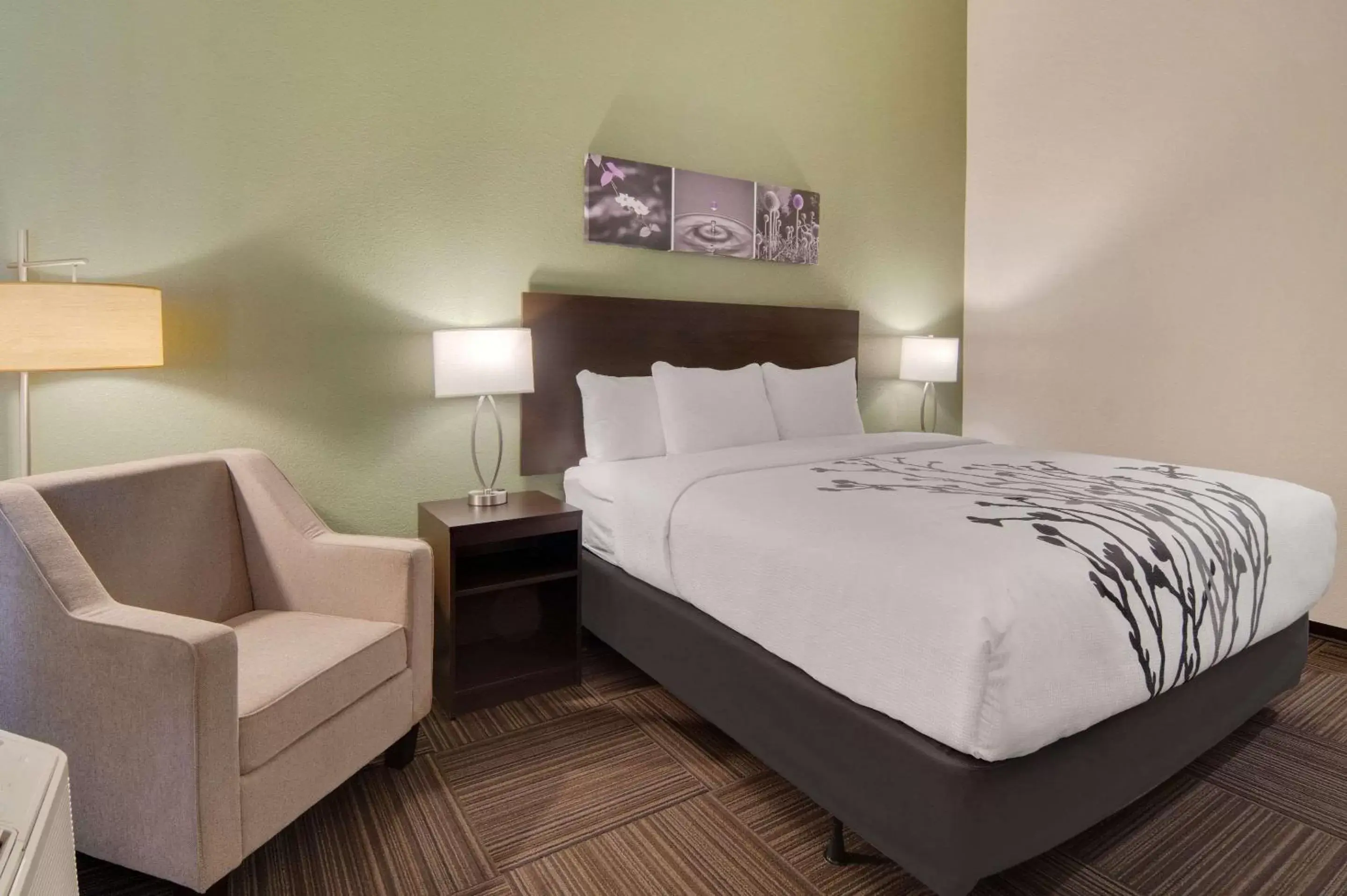 Bedroom, Bed in Sleep Inn Dallas Northwest - Irving