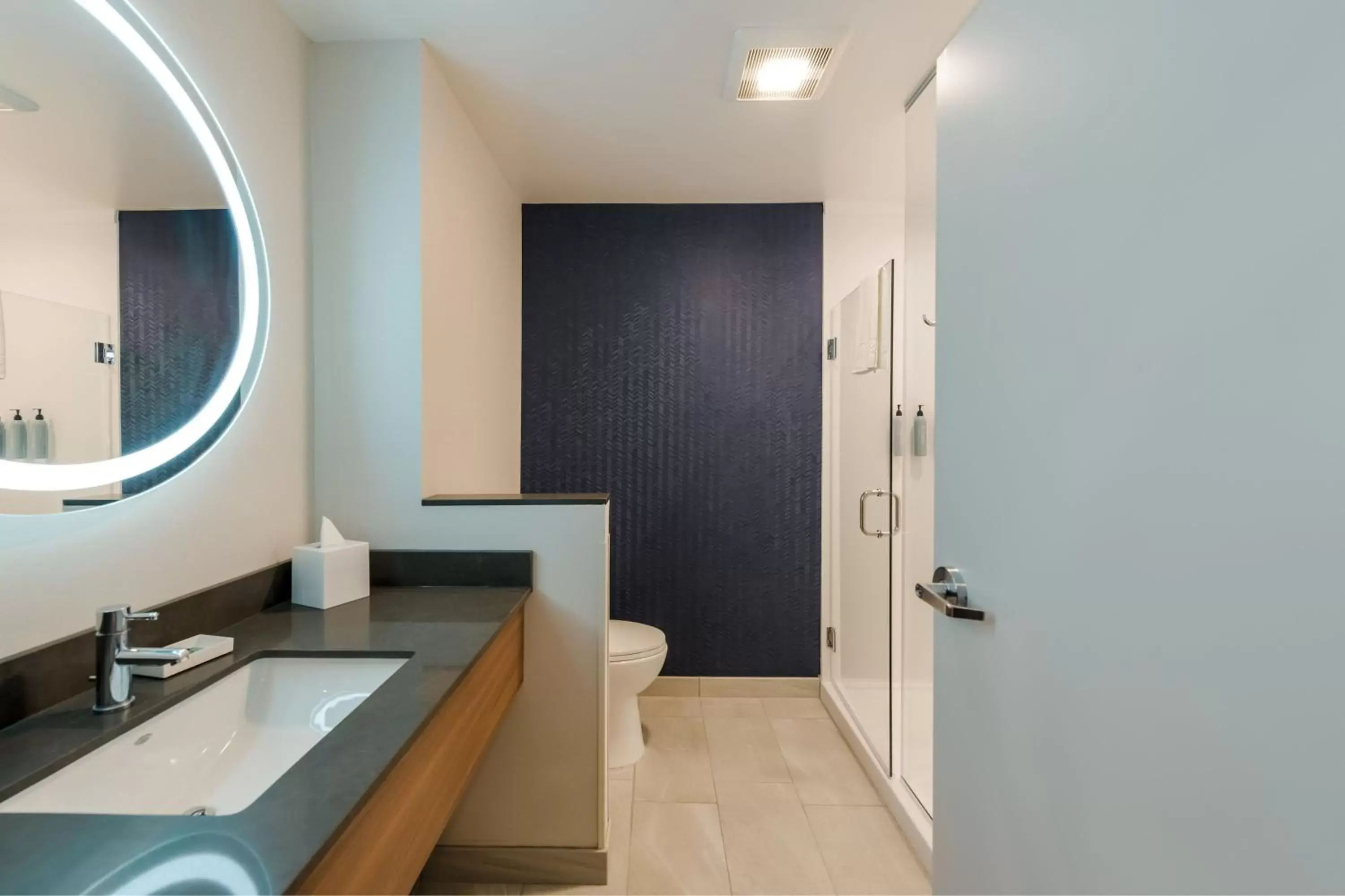 Bathroom in Fairfield by Marriott Inn & Suites Columbus Canal Winchester