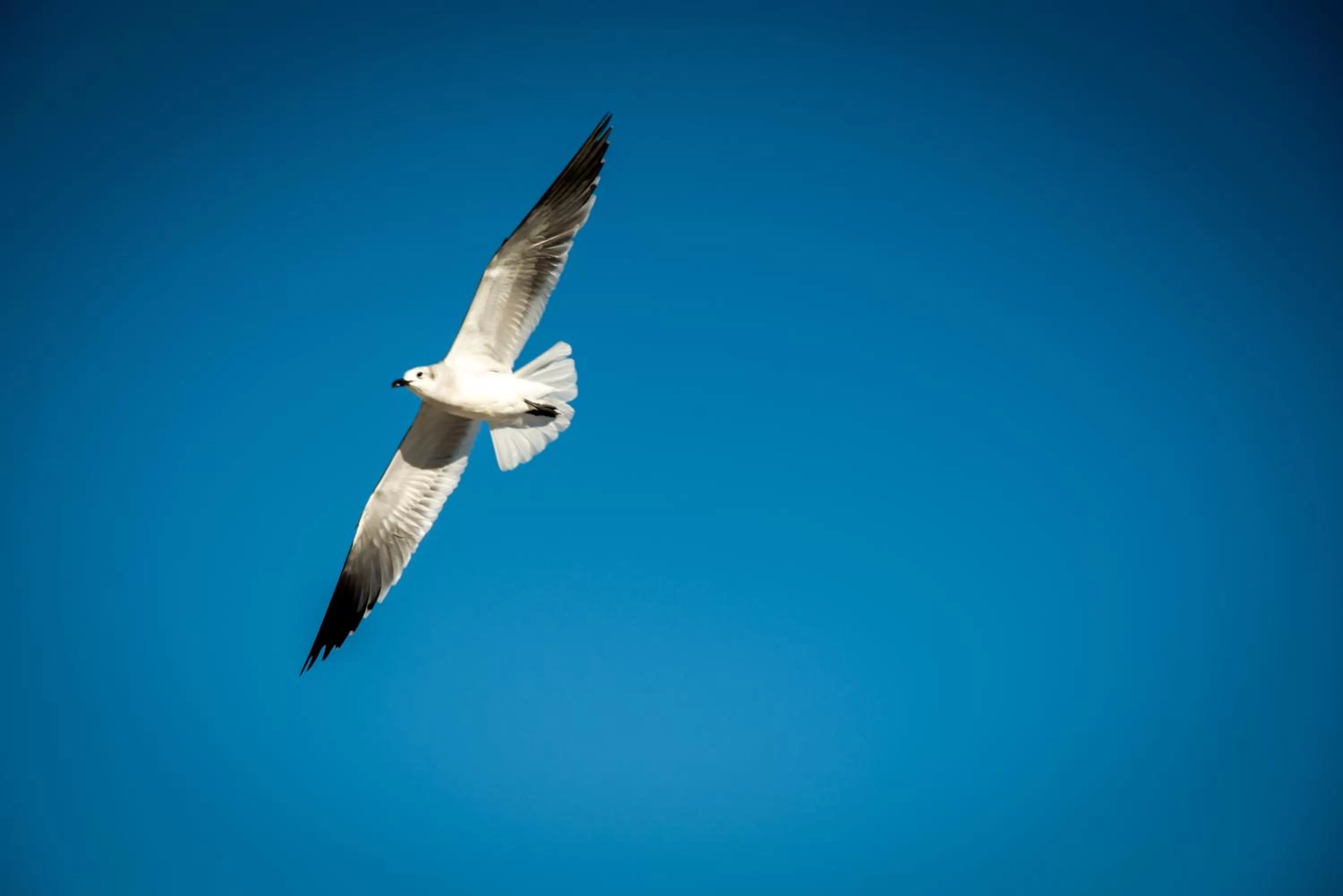 Off site in Century Hotel