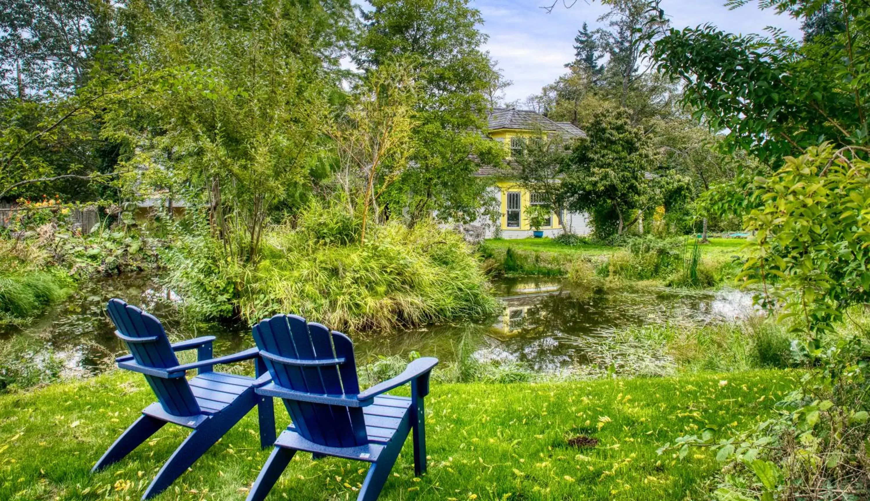 Garden in Sehome Garden Inn