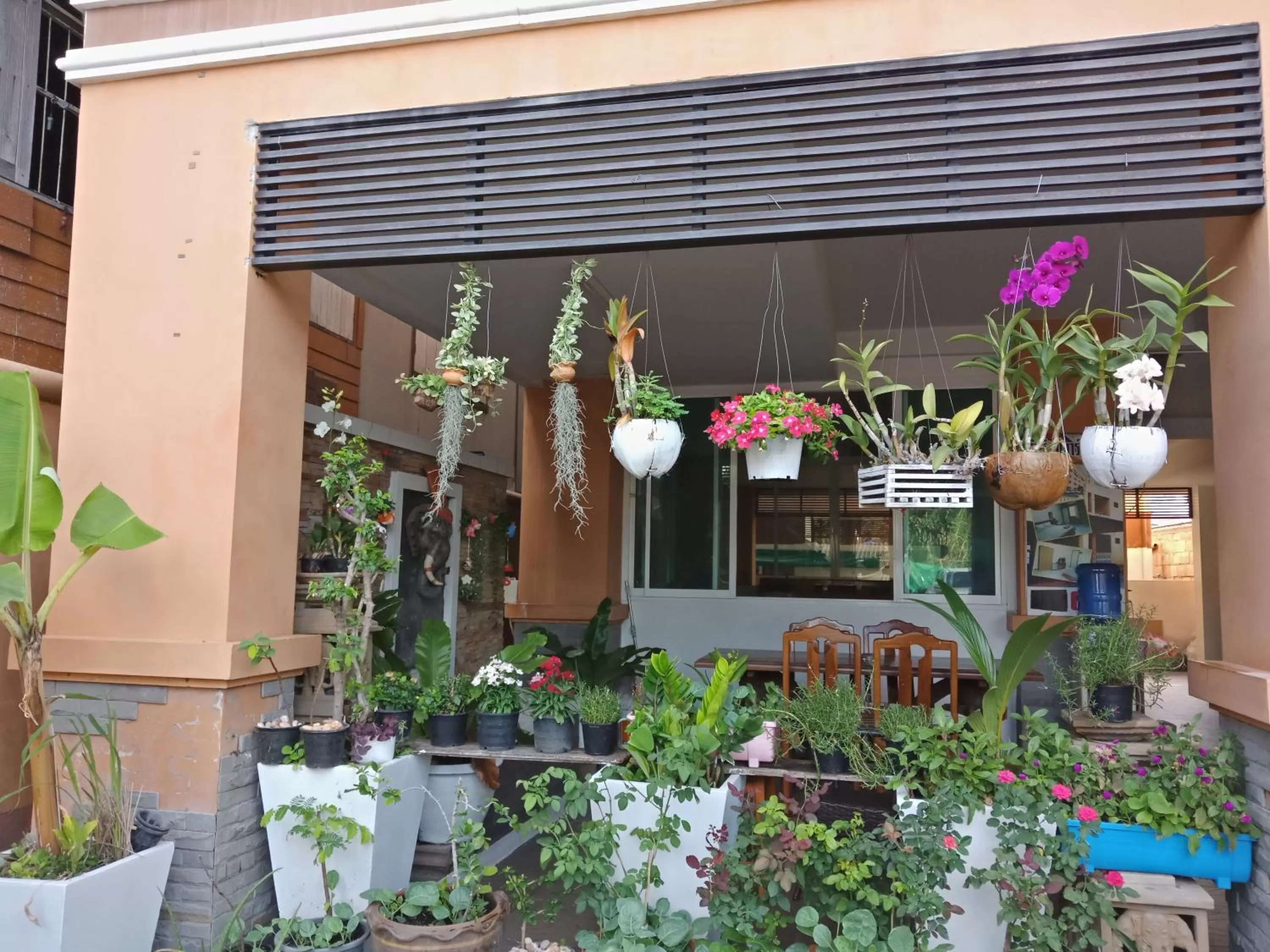 Restaurant/Places to Eat in Baanpak Sam Anong