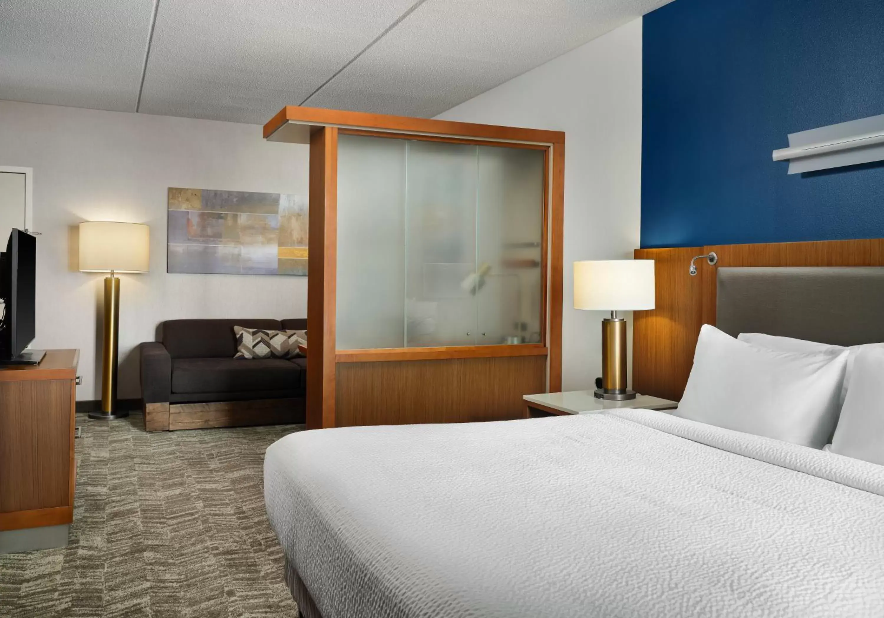 King Studio with Sofa Bed and Roll-in Shower - Mobility and Hearing Accessible in SpringHill Suites by Marriott Pittsburgh Mt. Lebanon King Studio with Sofa Bed and Roll-in Shower - Mobility and Hearing Accessible in SpringHill Suites by Marriott Pittsburgh Mt. Lebanon