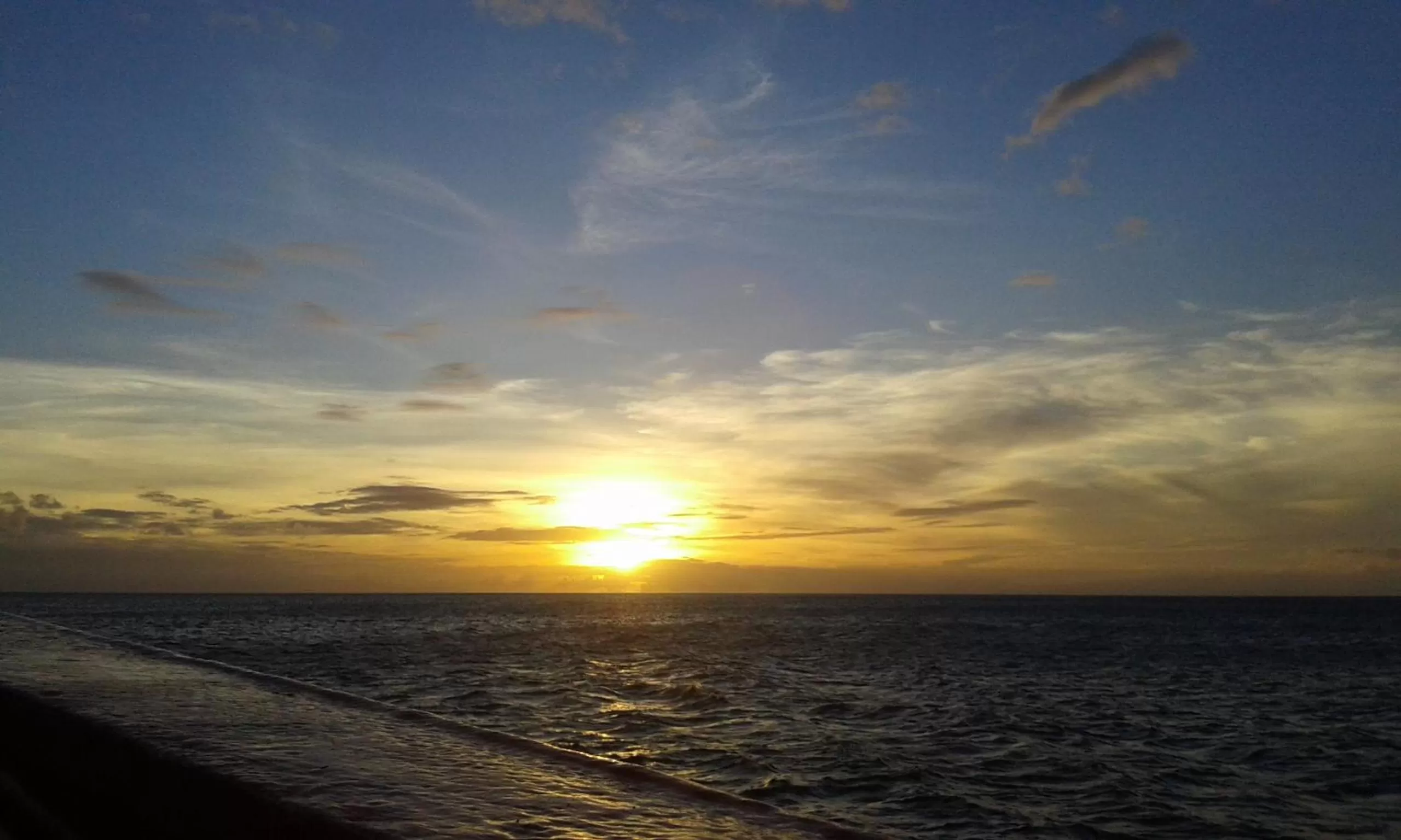 Natural landscape in The Milligan