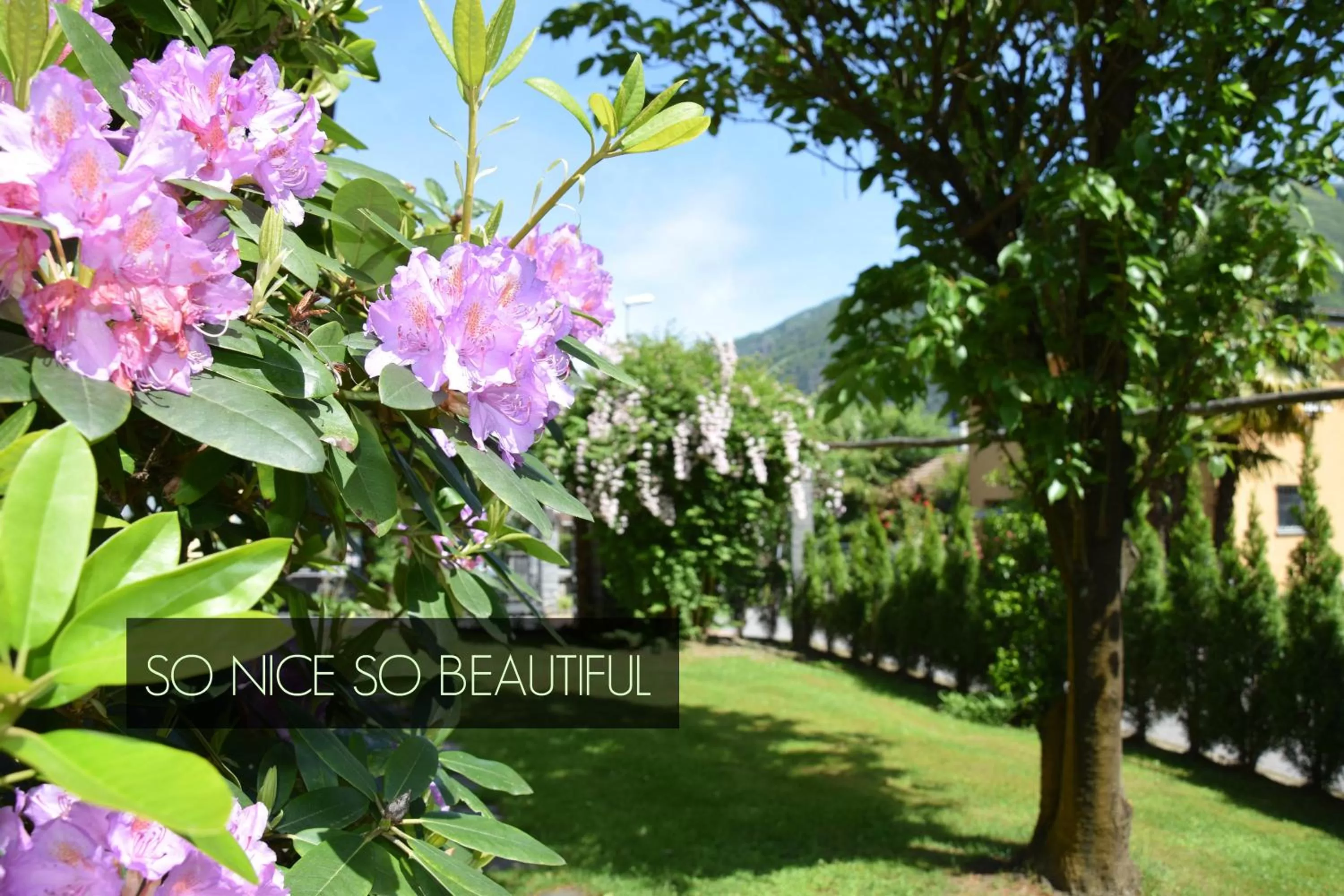 Garden in Garni Villa Siesta Park