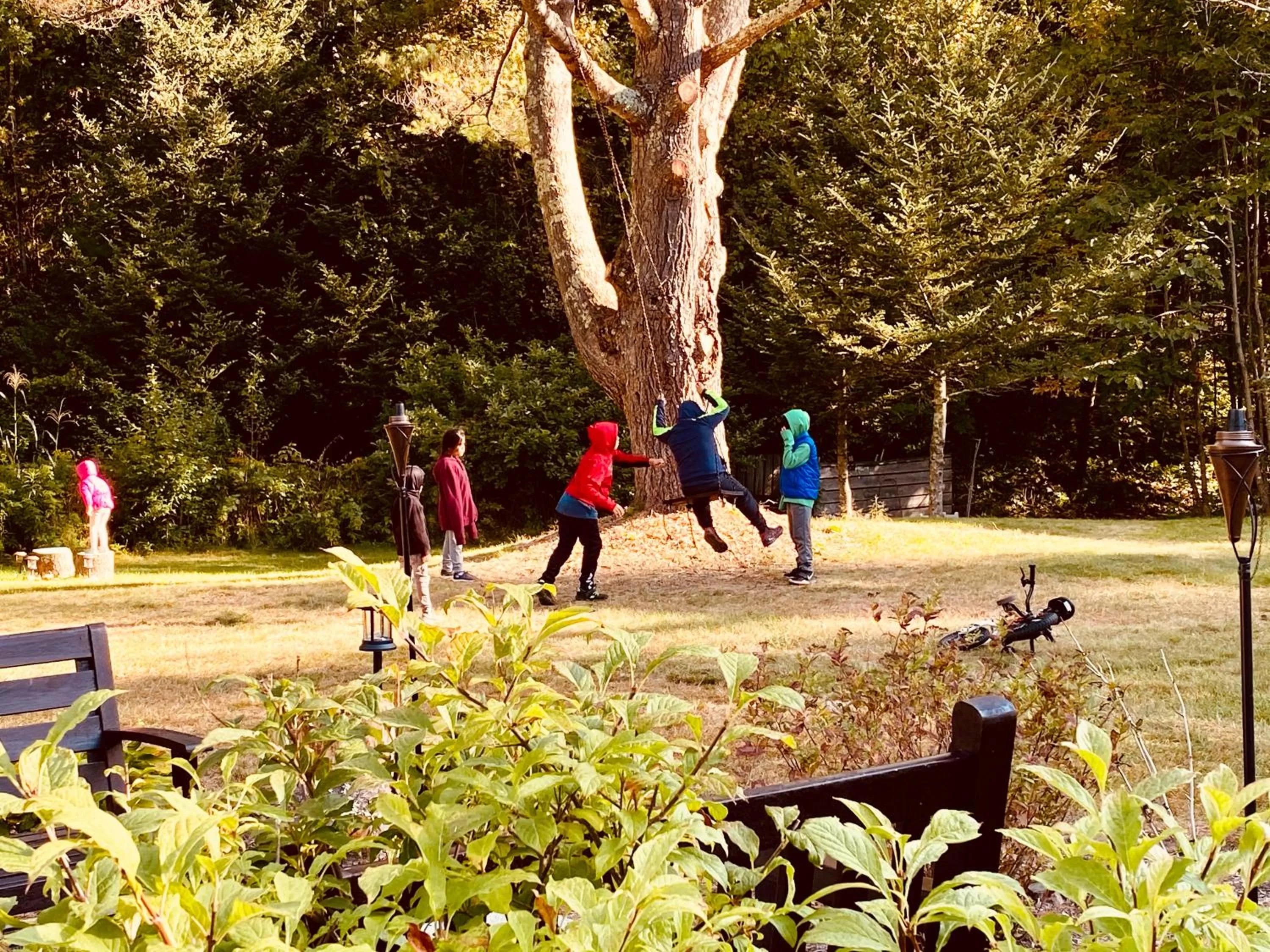 Arcady Mountain Motor Lodge