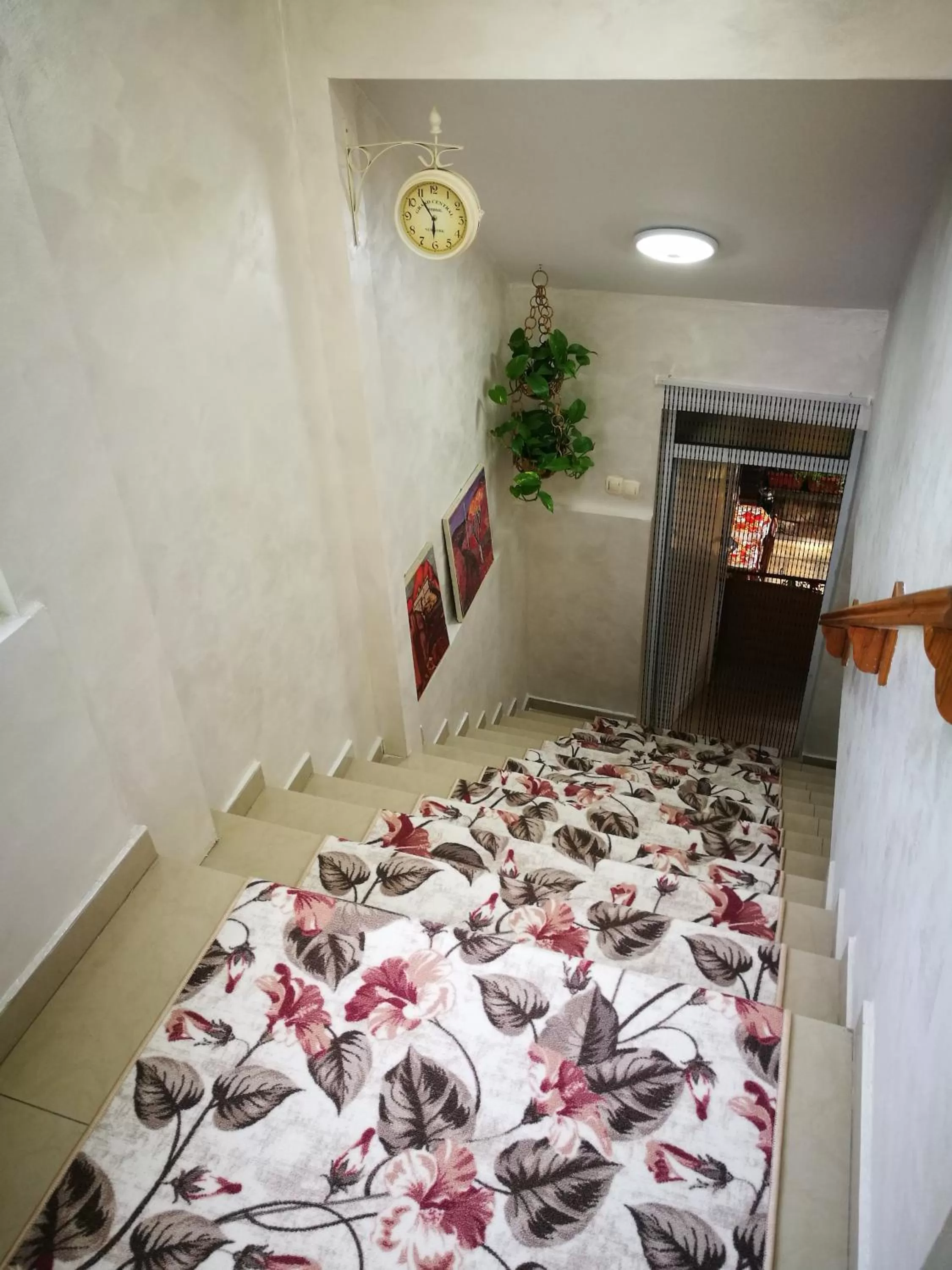 acessibility in Hotel Paradise