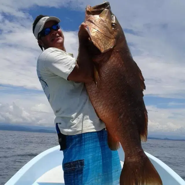 Fishing in Banana Bay Marina