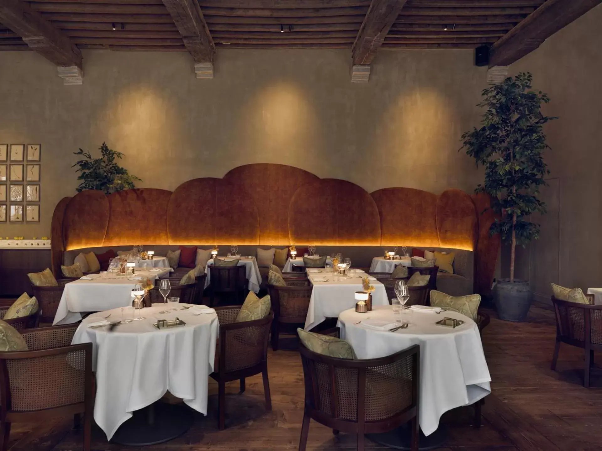 Restaurant/places to eat in Botanic Sanctuary Antwerp - The Leading Hotels of the World Restaurant/places to eat in Botanic Sanctuary Antwerp - The Leading Hotels of the World