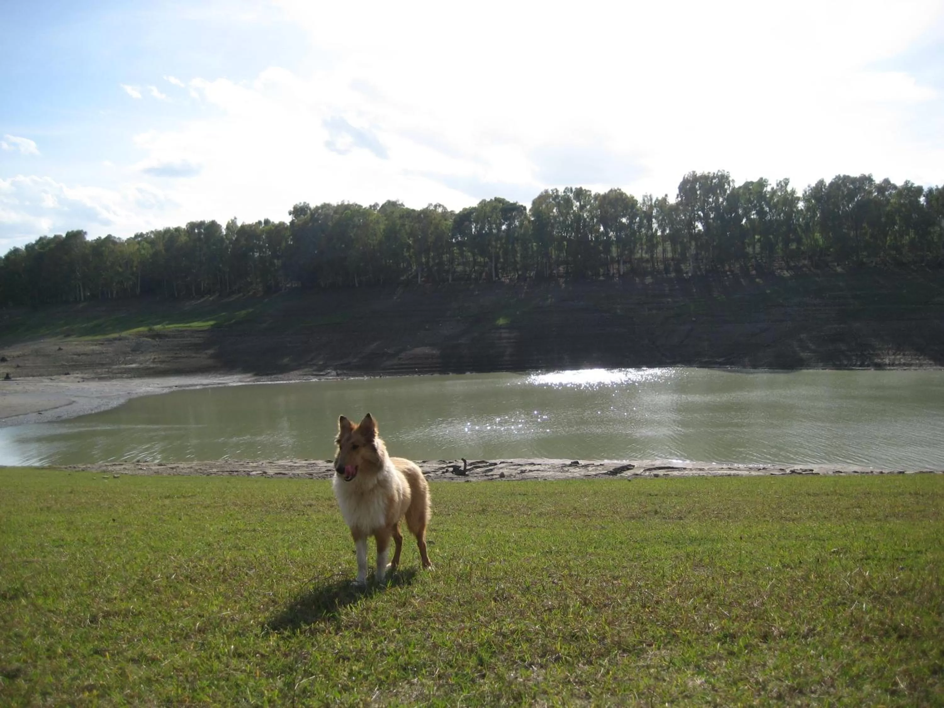 Aqua park in Oasi del Lago