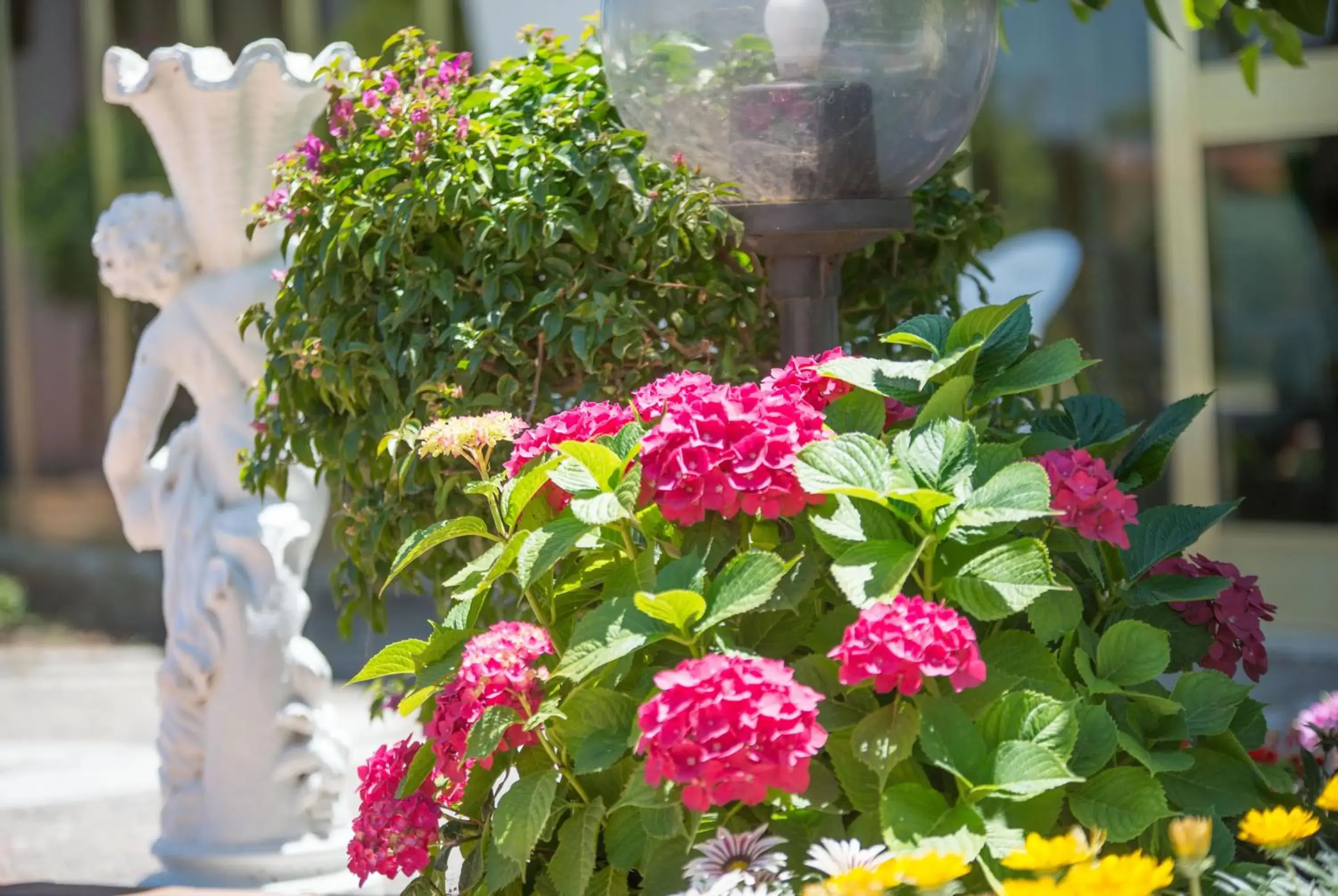 Garden in Hotel Internazionale