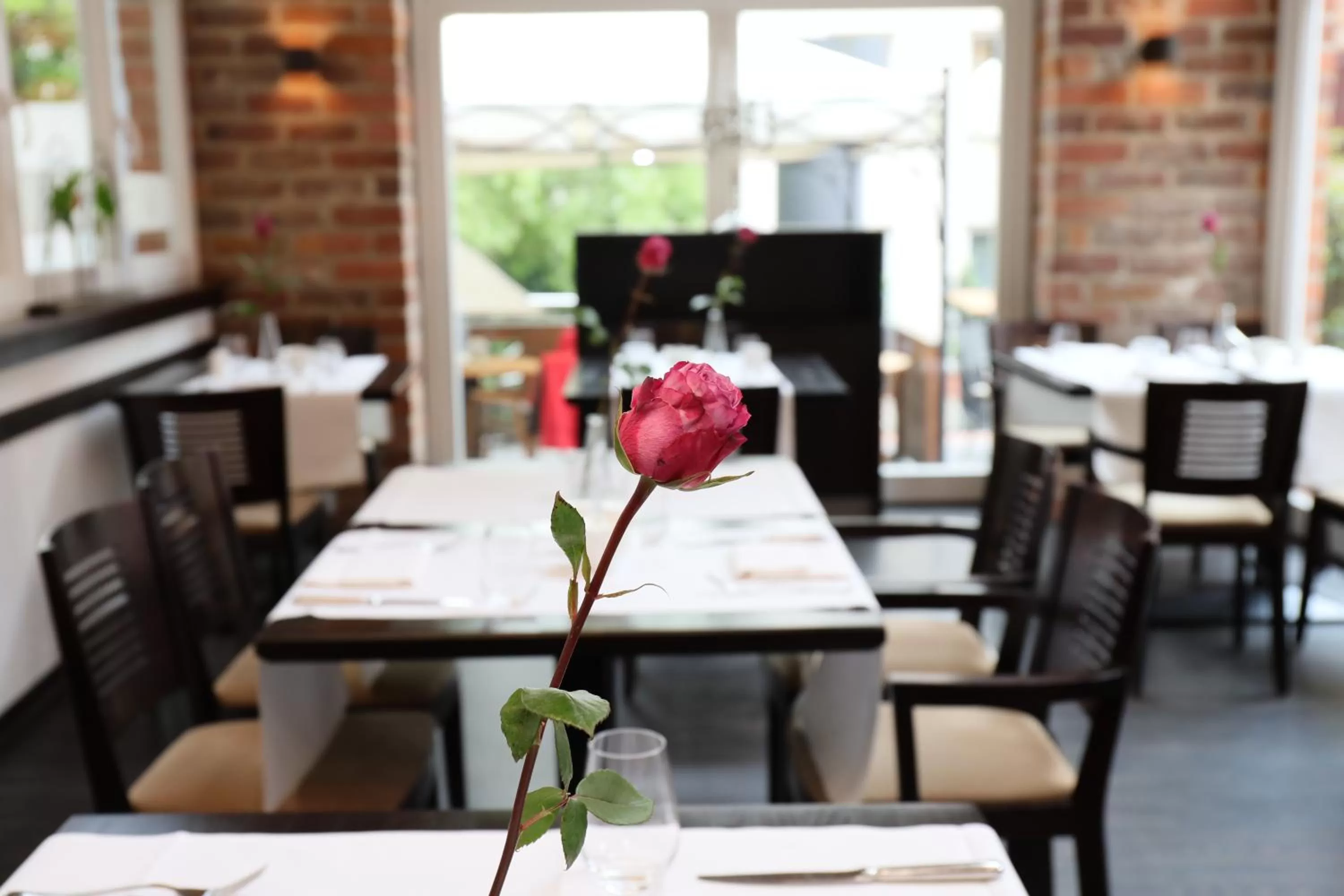 Restaurant/places to eat in Romantik Hotel Scheelehof Stralsund