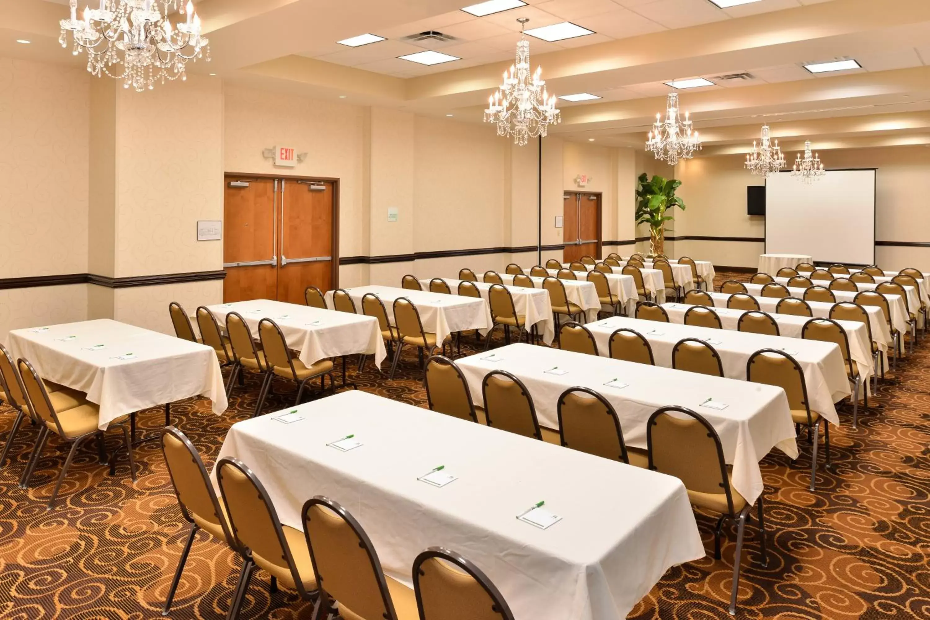 Meeting/conference room in Holiday Inn Montgomery South Airport, an IHG Hotel
