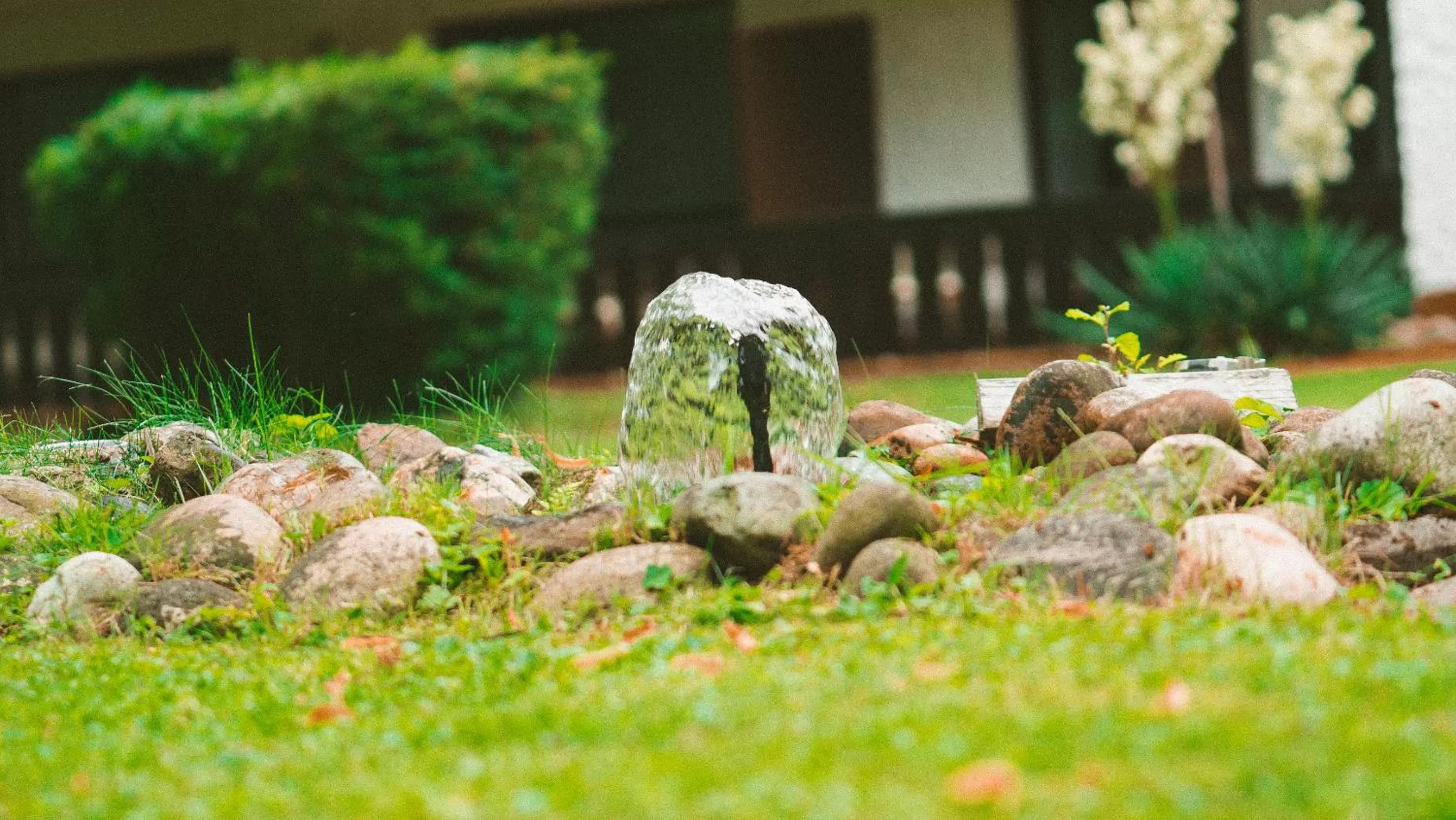 Property building in Hotel Büchner Garni