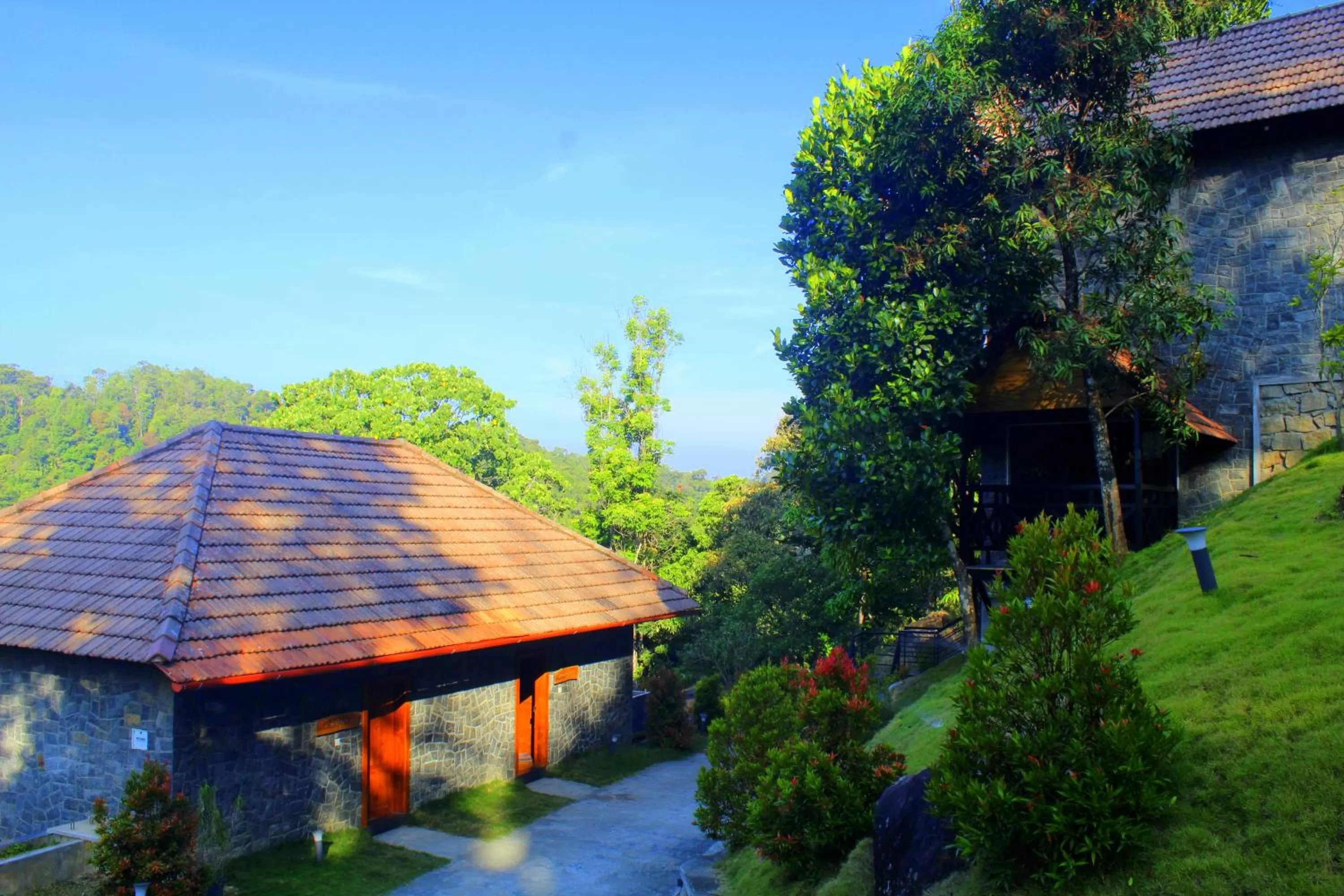 Family in The Wild Trails Clarks Exotica , Munnar