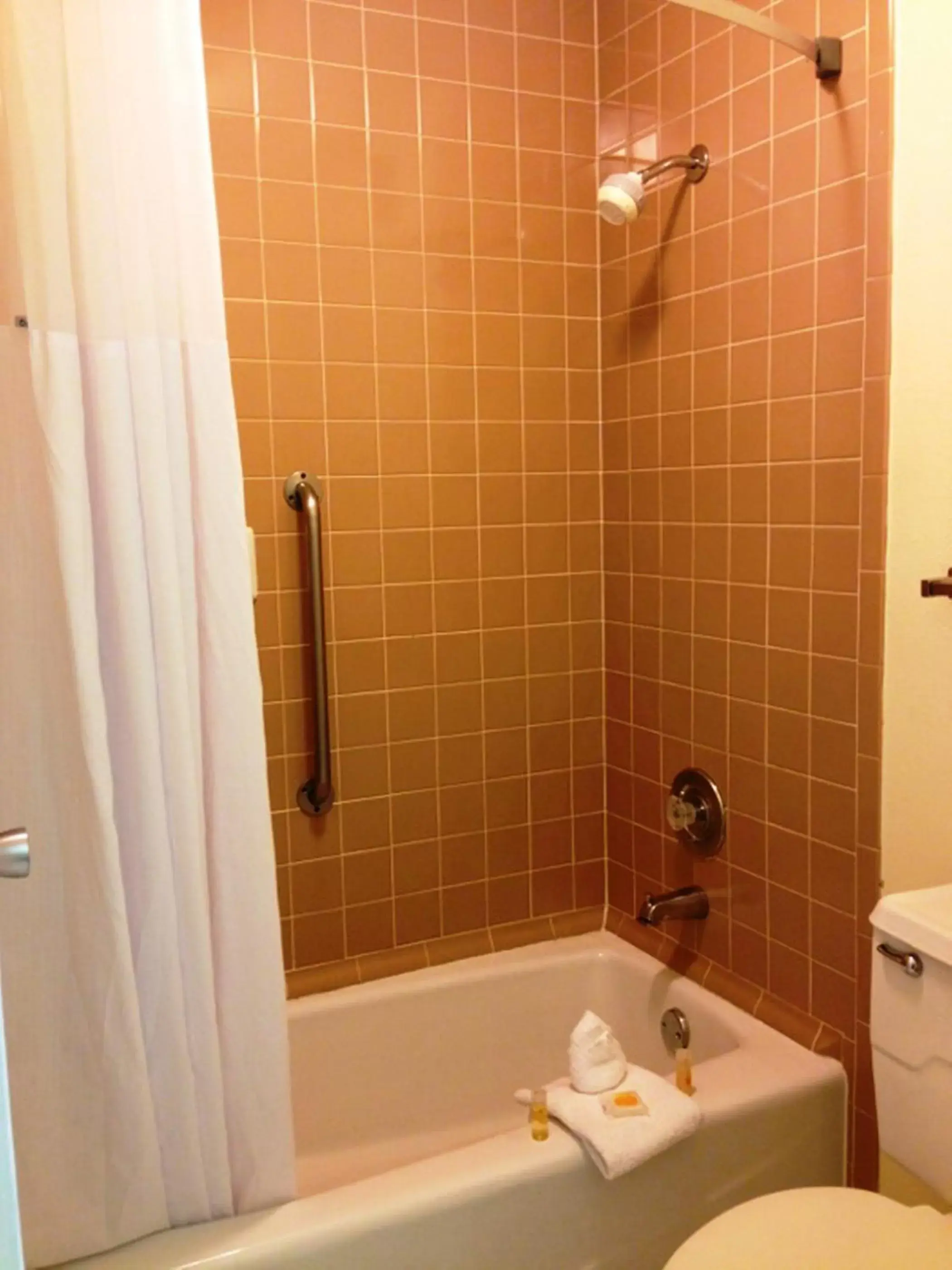 Shower, Bathroom in Days Inn by Wyndham Irving Grapevine DFW Airport North