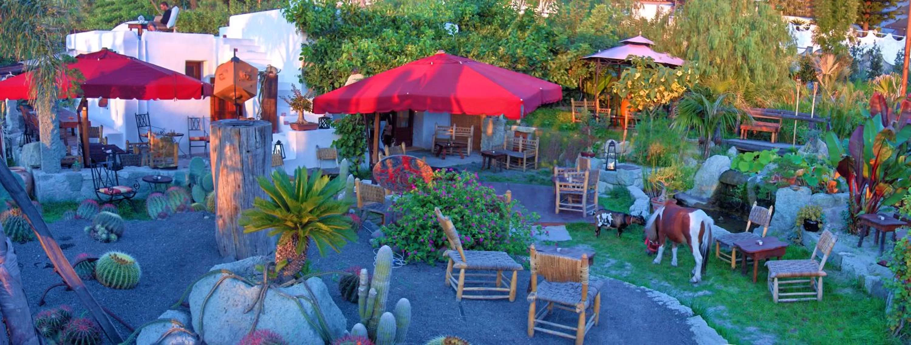 Restaurant/places to eat in Villa Ravino Aparthotel