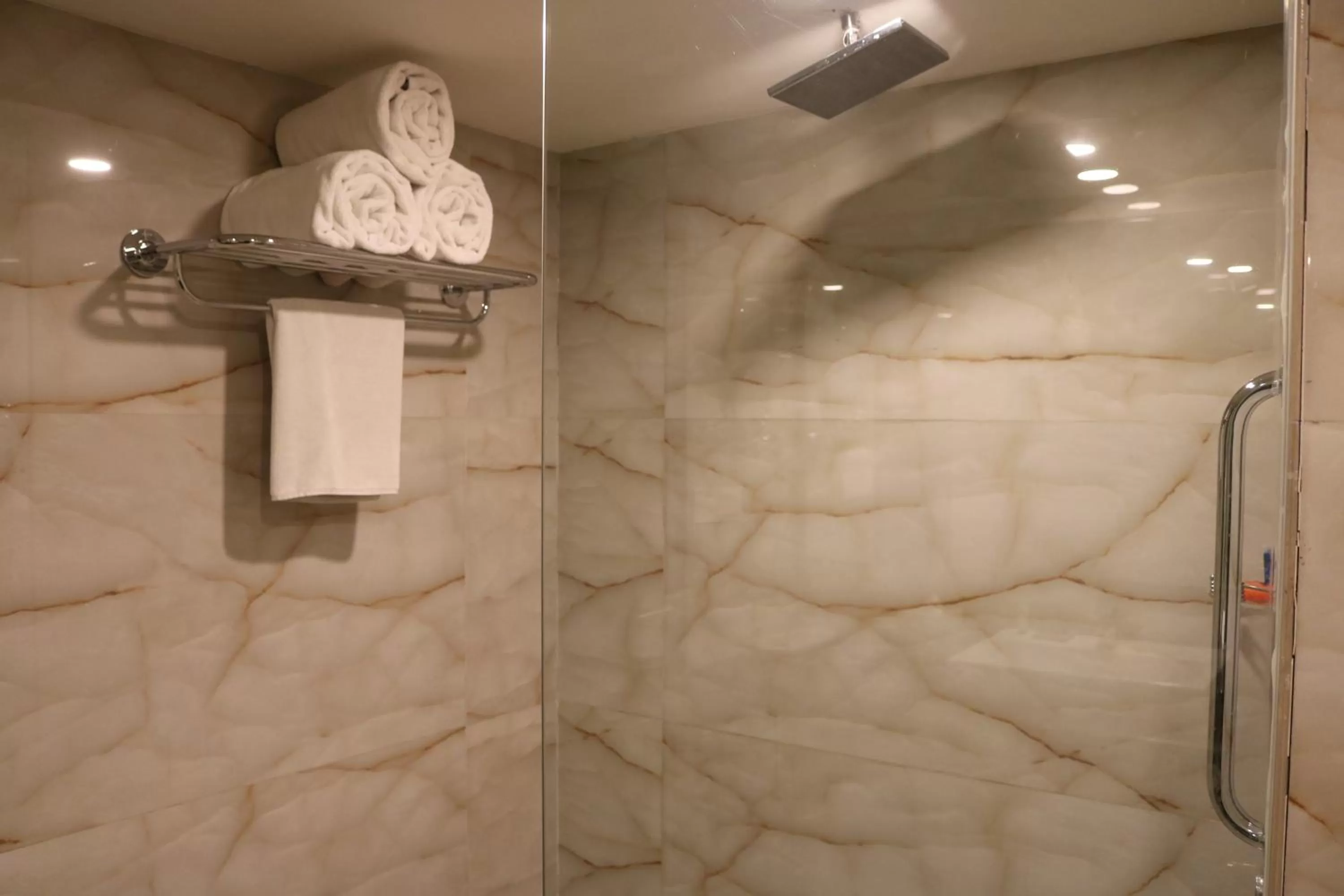 Shopping Area in Radisson Srinagar