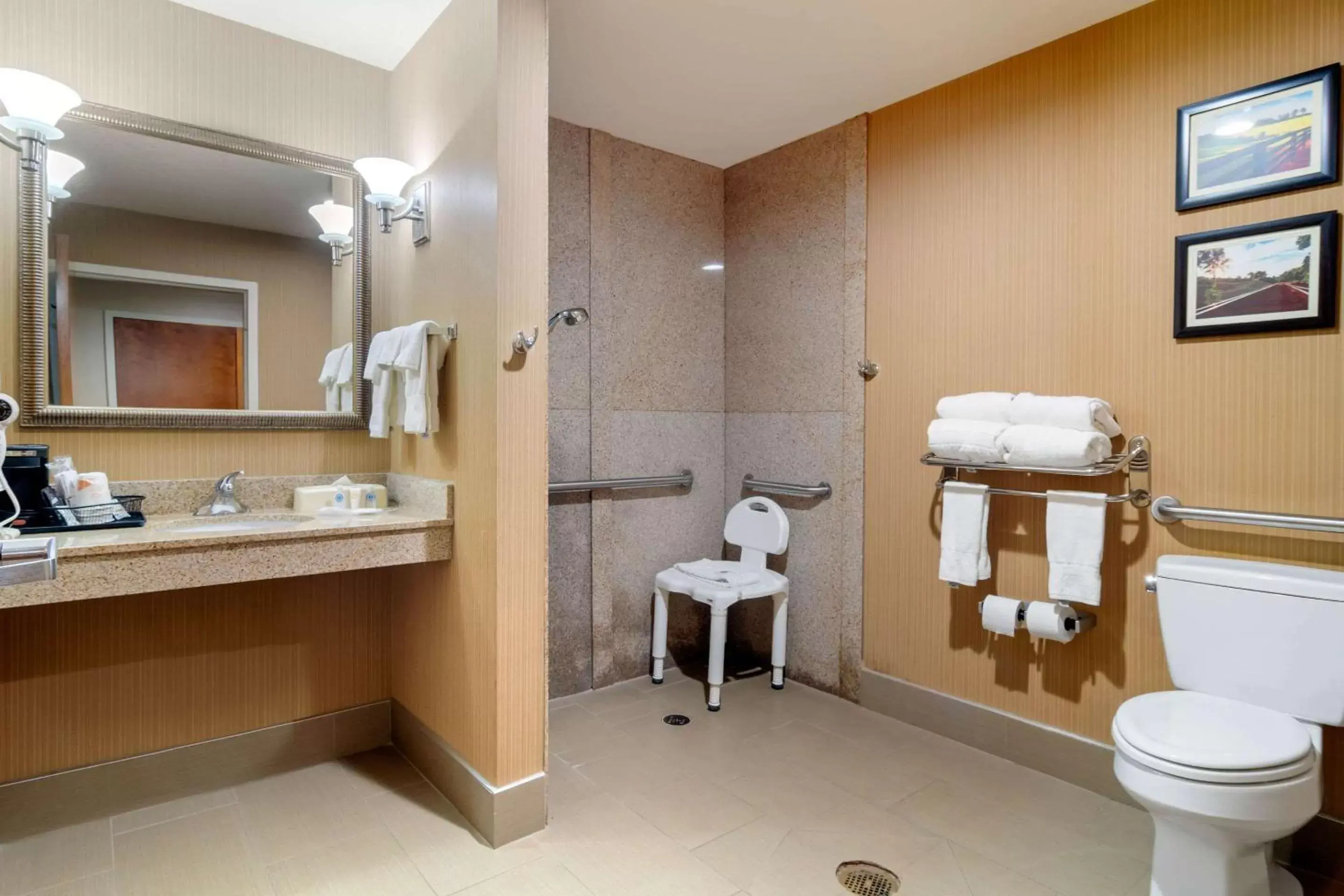Bathroom in Comfort Suites Byron Warner Robins