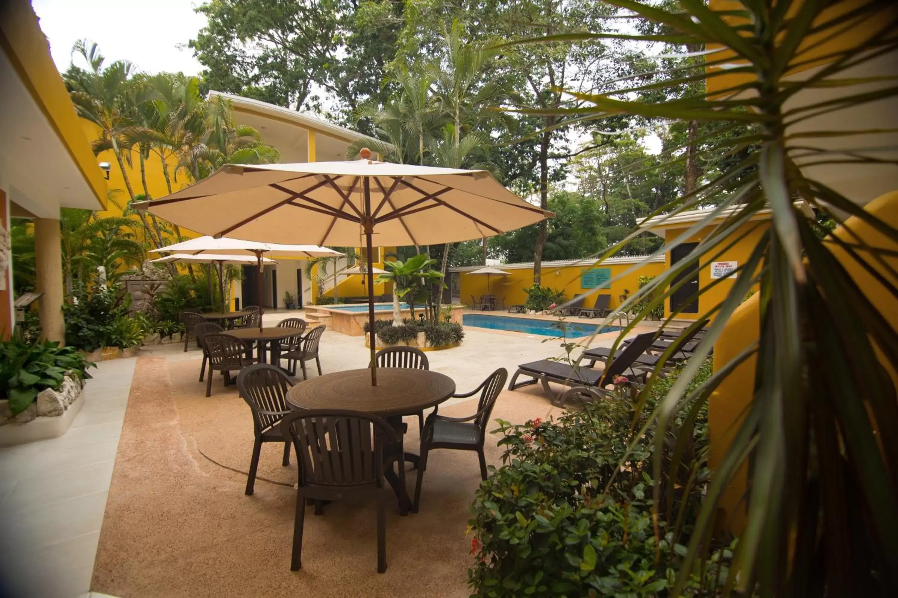 Day, Swimming Pool in Hotel Chablis Palenque