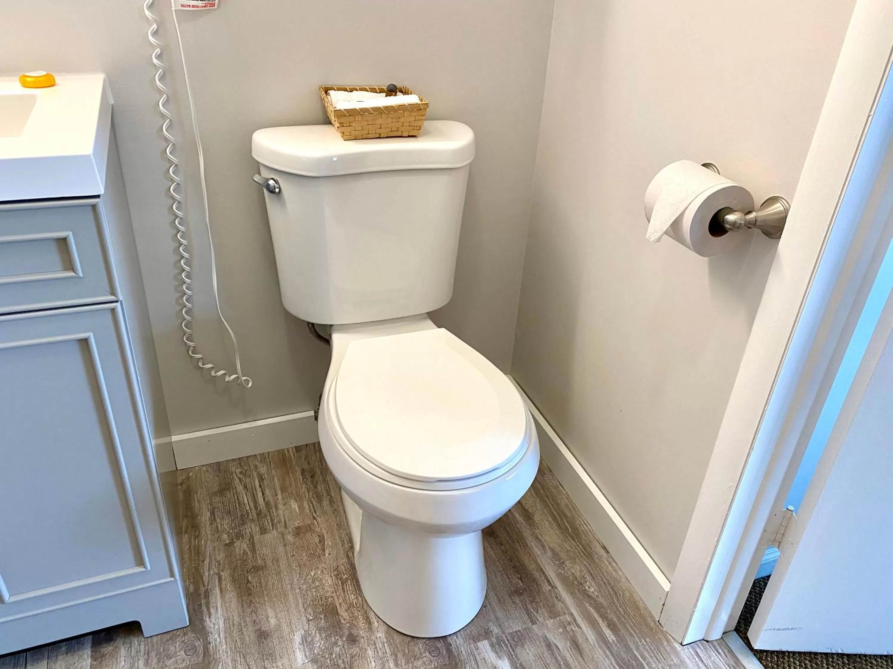 Toilet in East Shore Lodging