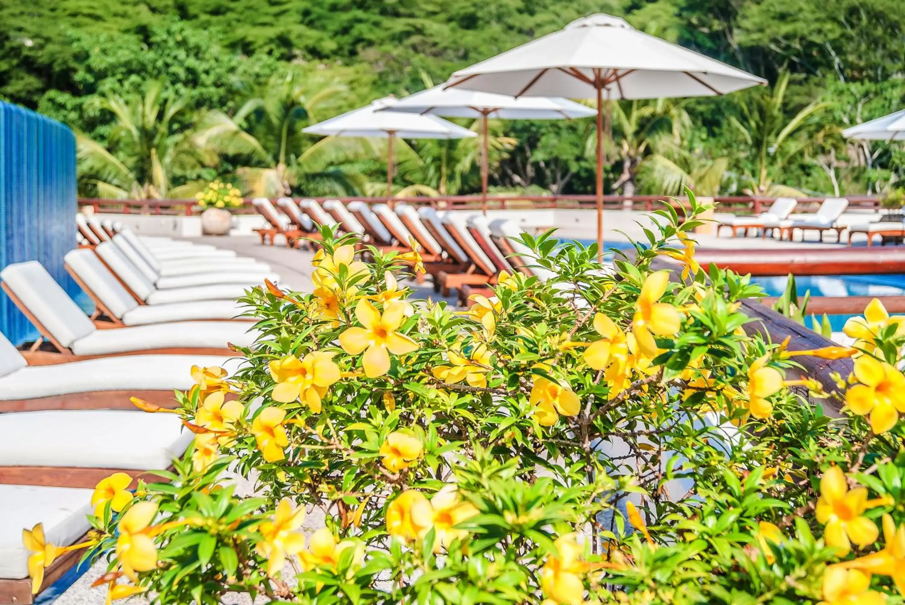 Inner courtyard view in Grand Matlali Riviera Nayarit