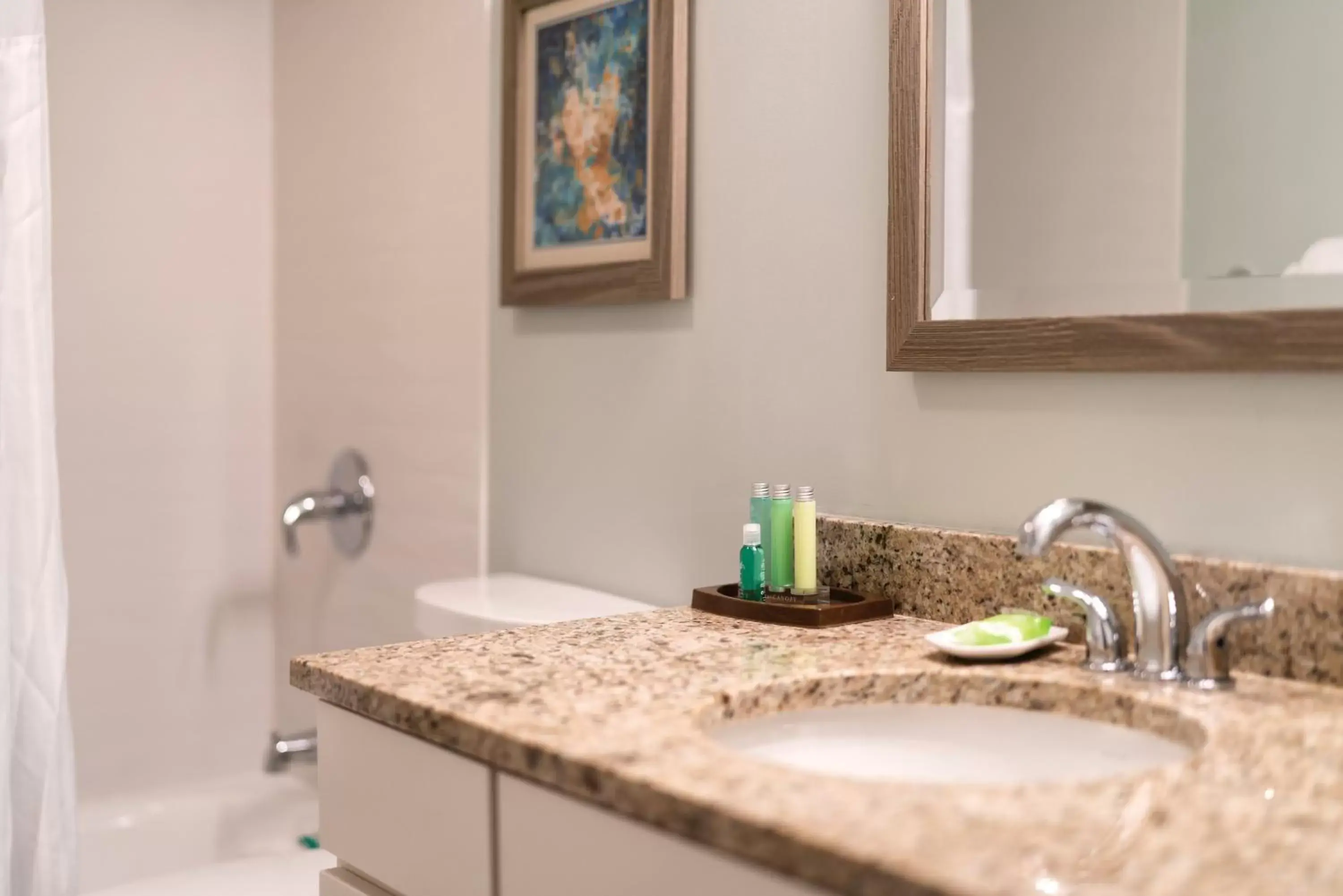 Bathroom in Paniolo Greens Resort