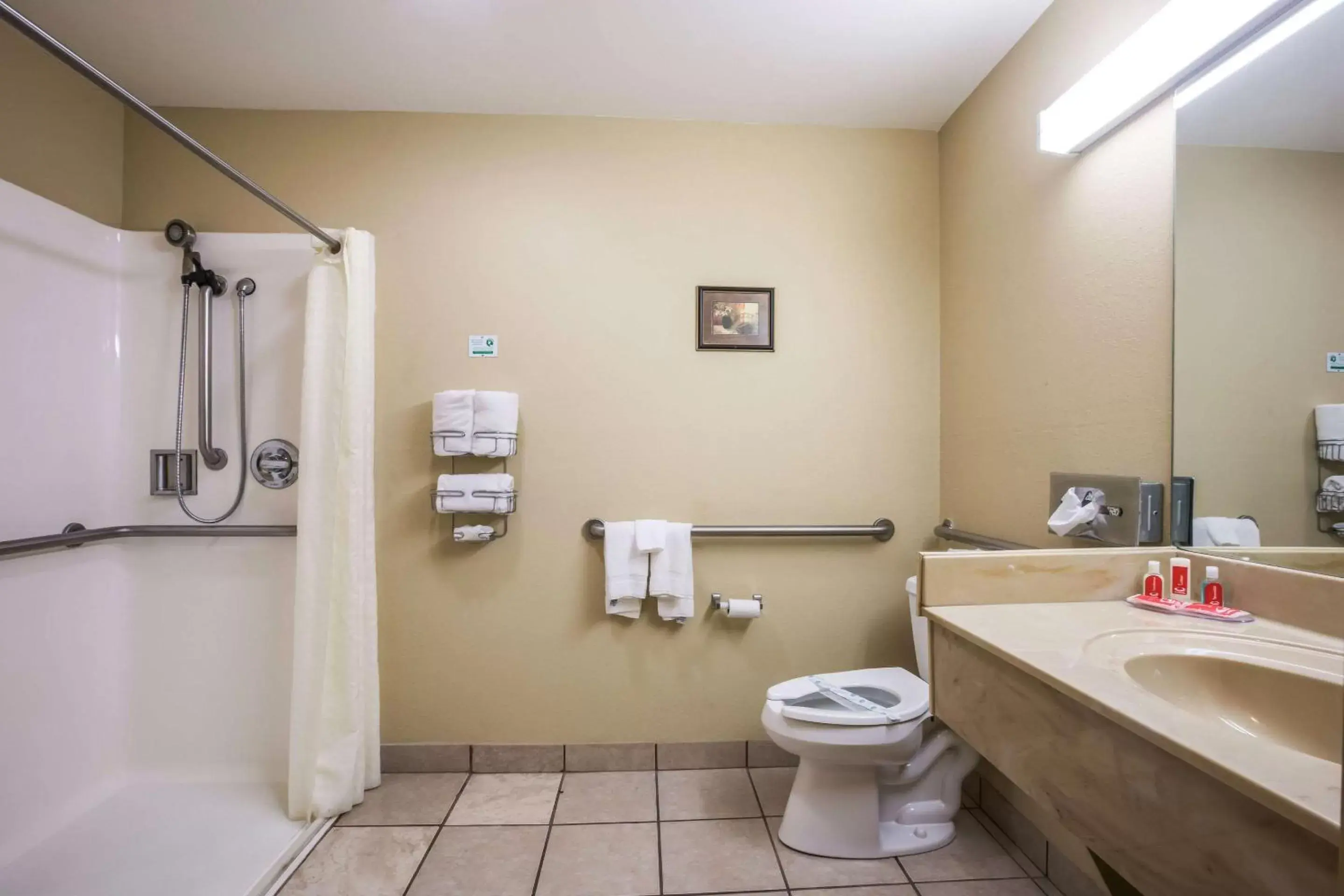 Other, Bathroom in Econo Lodge Inn & Suites Rockmart