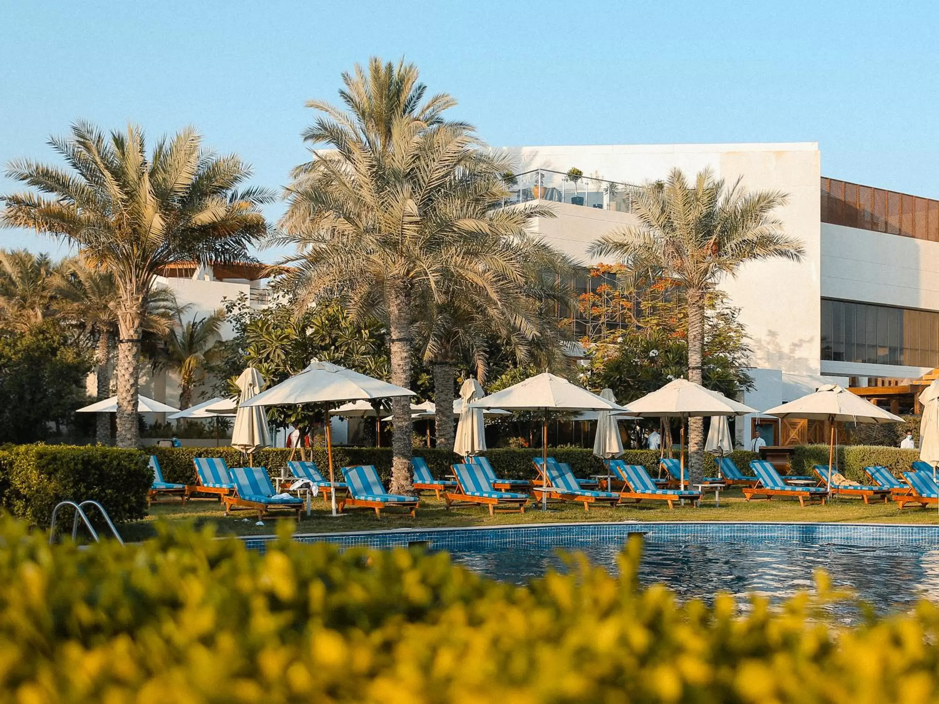 Swimming pool in Dubai Marine Beach Resort & Spa