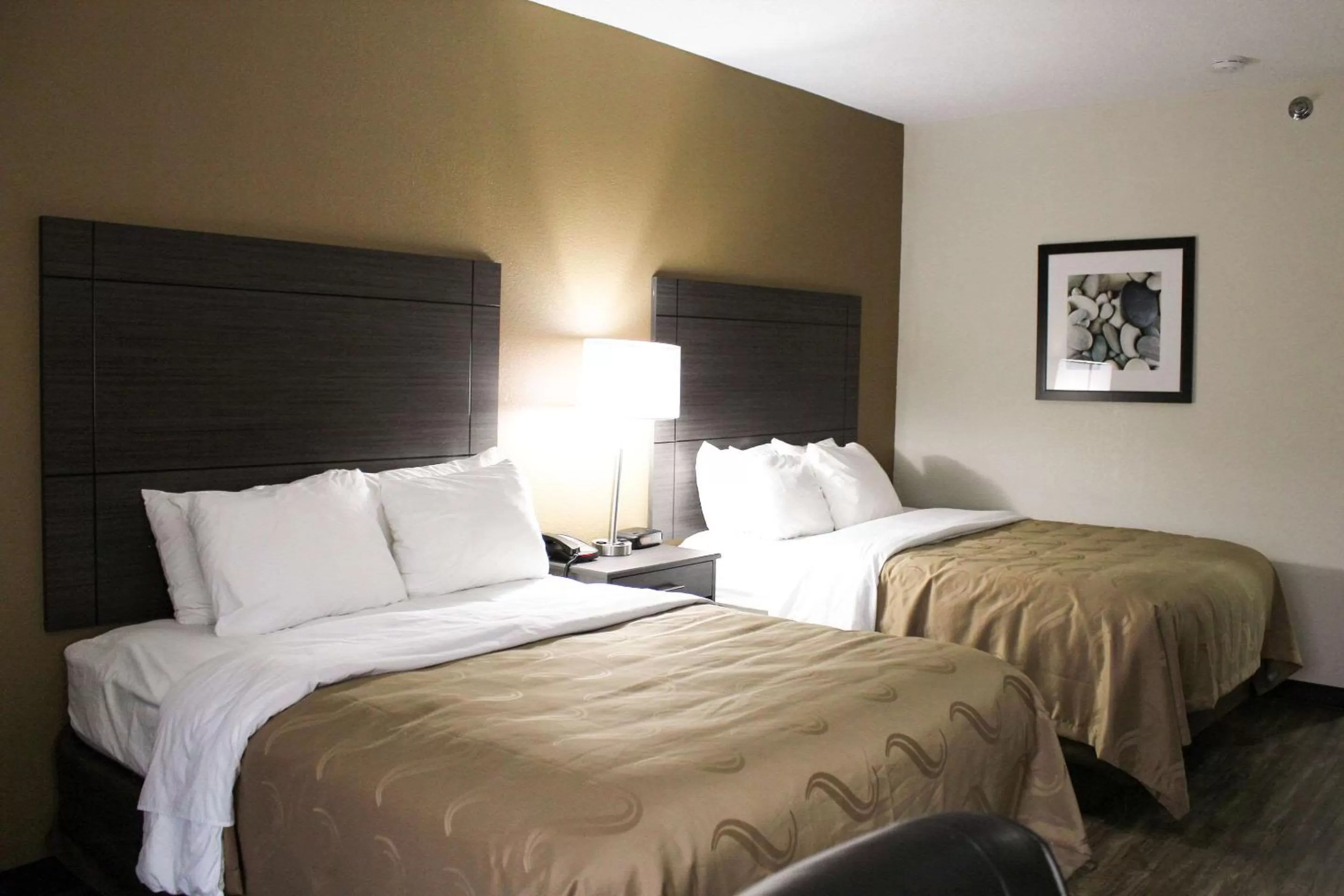Photo of the whole room, Bed in Quality Inn Clinton-Knoxville North