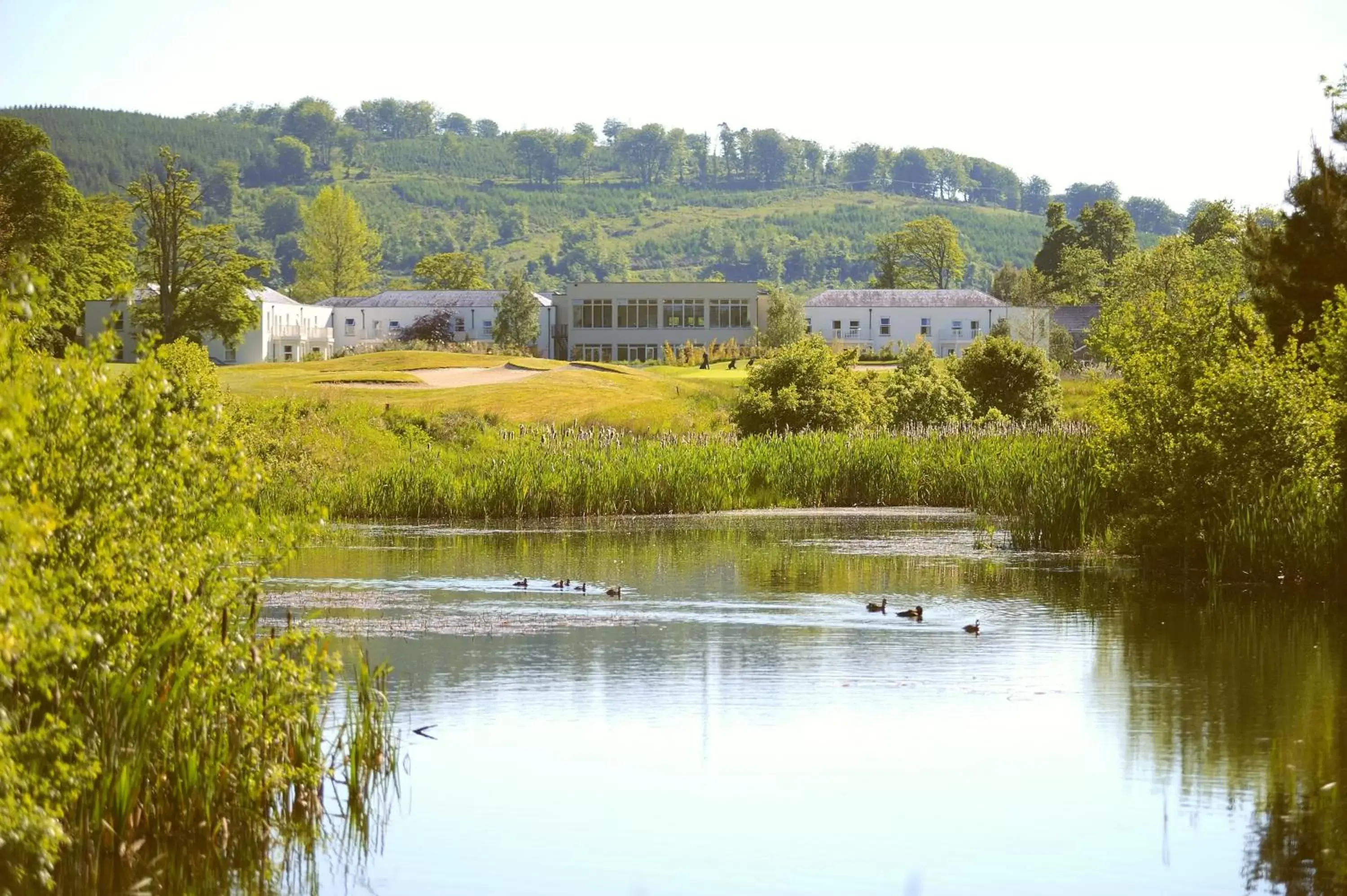 Lake view in Tulfarris Hotel and Golf Resort