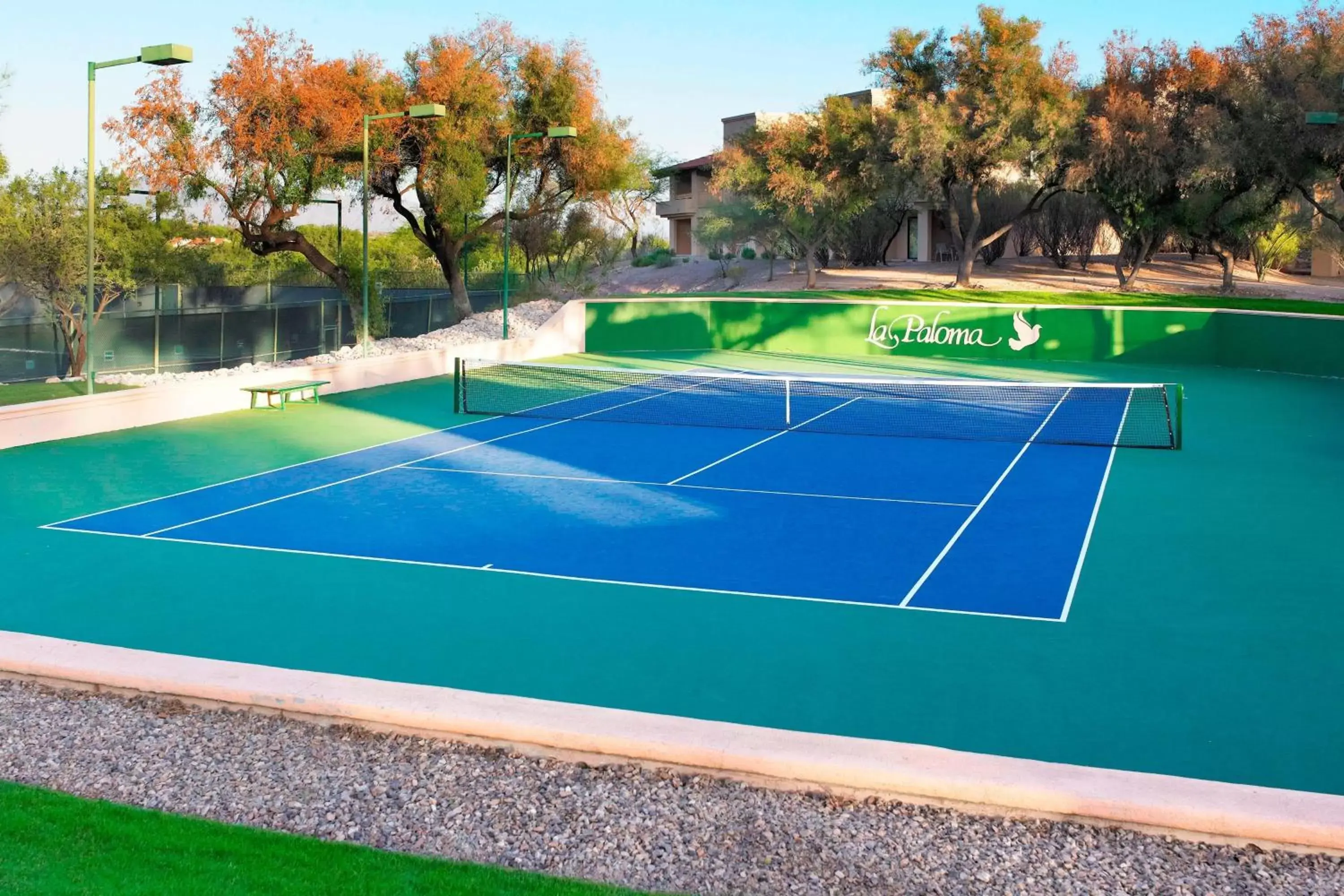 Tennis court, Swimming Pool in The Westin La Paloma Resort & Spa