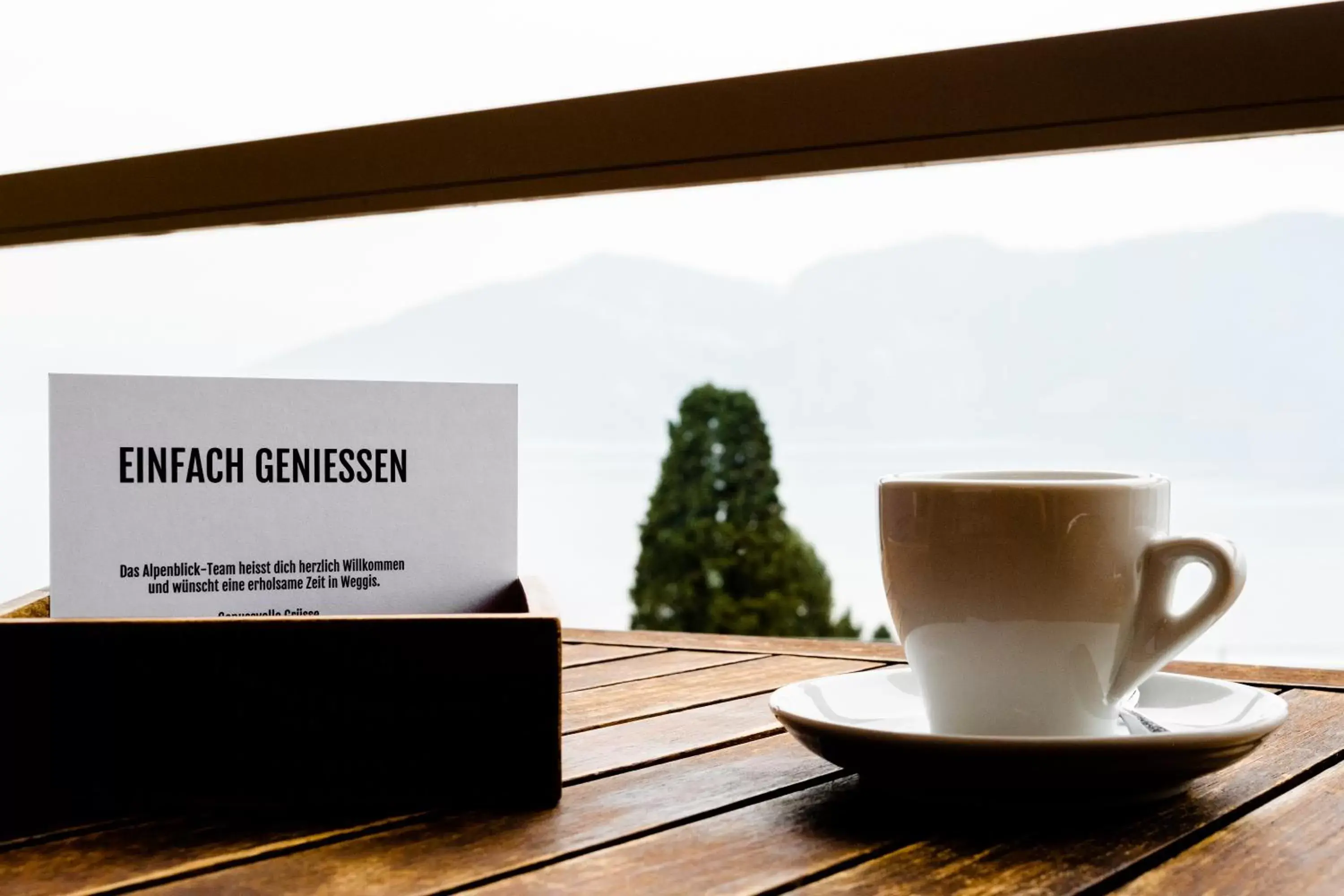 Balcony/Terrace in Alpenblick Weggis - Panorama & Alpen Chic Hotel