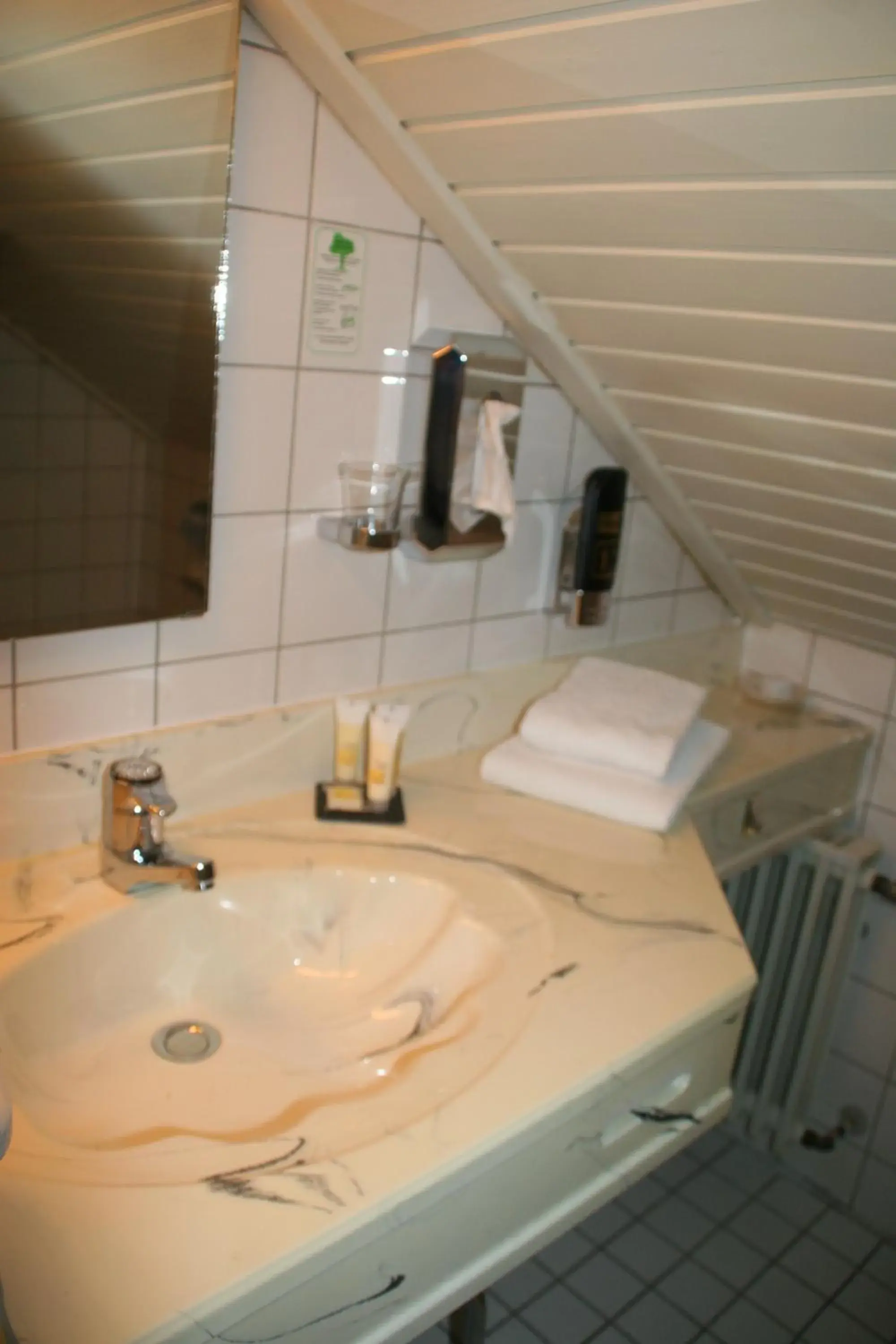 Shower, Bathroom in Best Western Hotel Rhön Garden