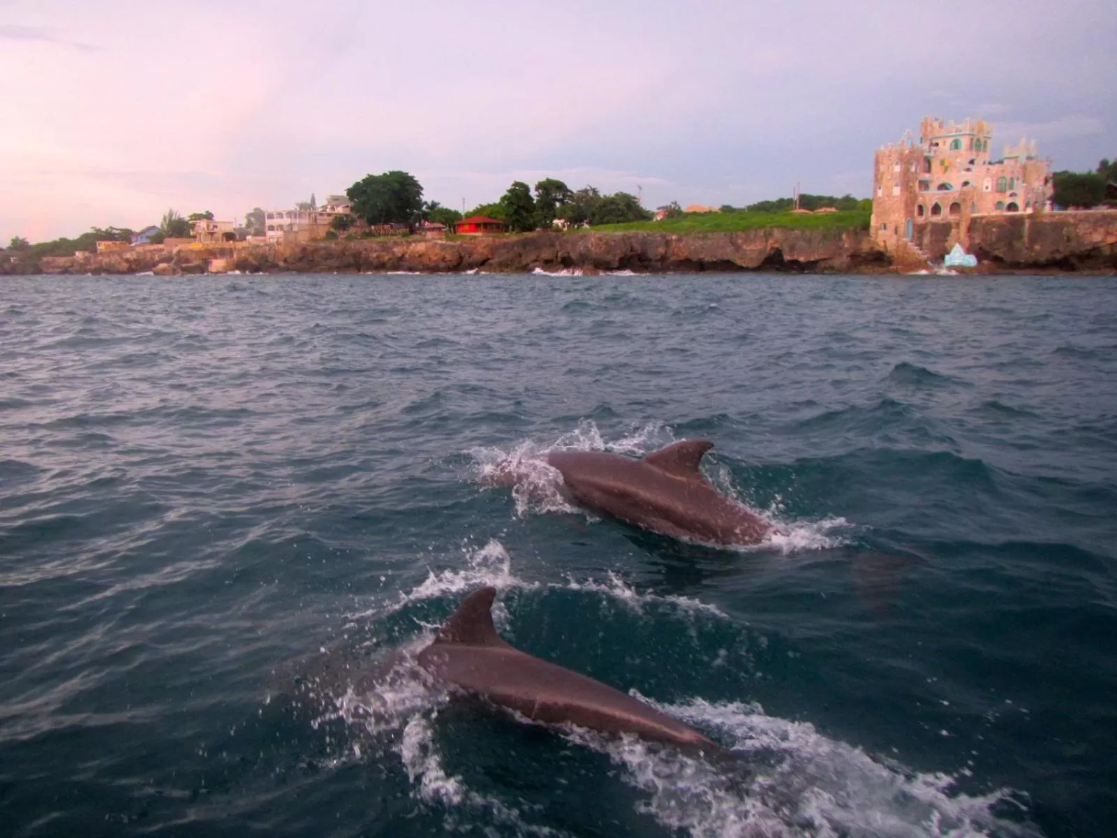 Beachcomber Club Resort