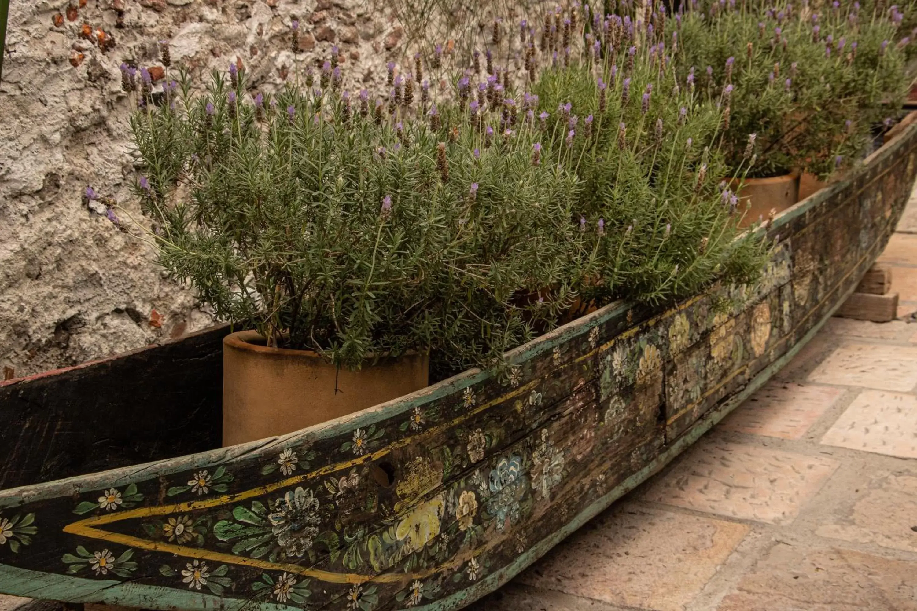 Patio in Orchid House San Miguel de Allende