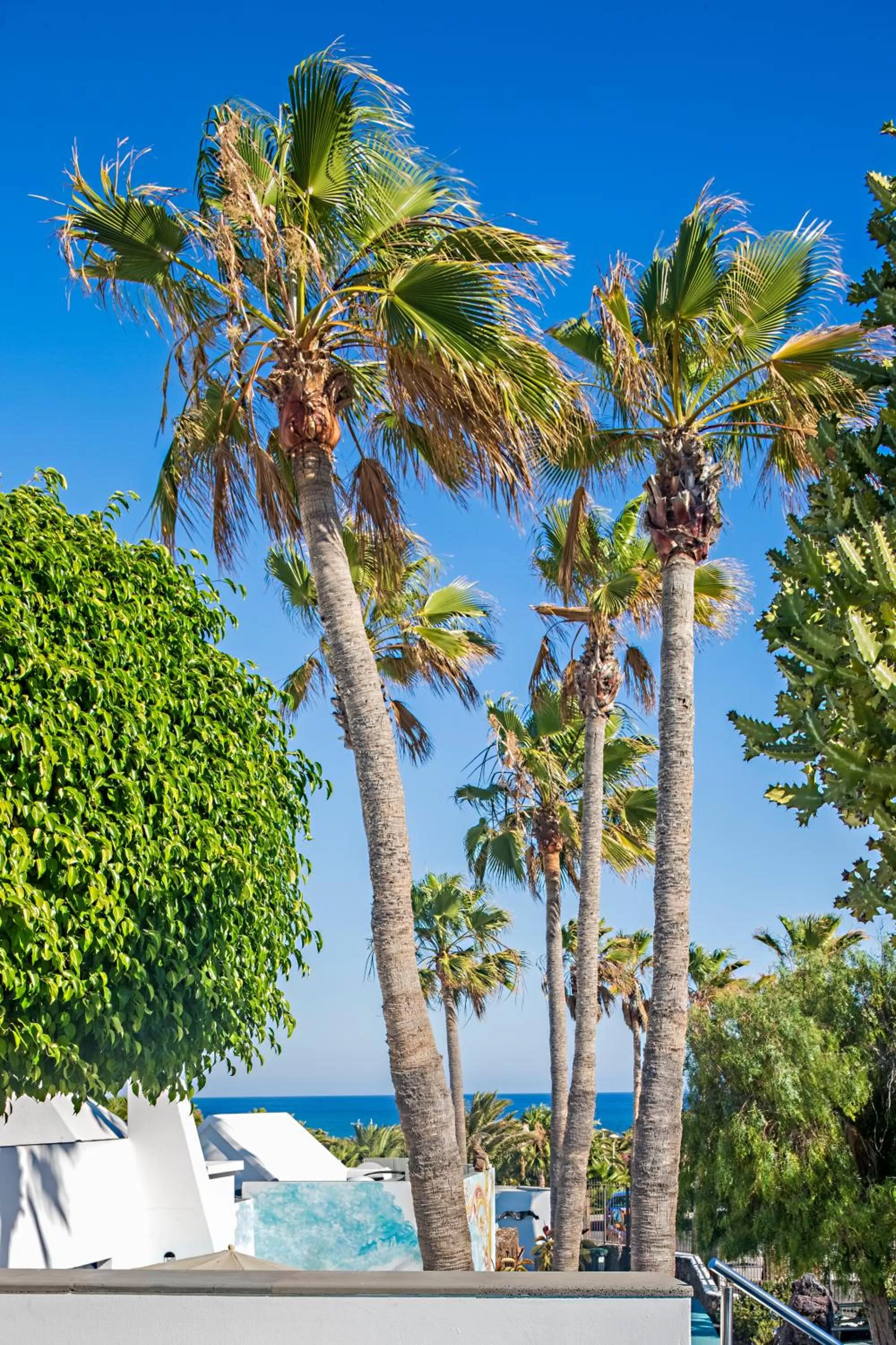 Decorative detail in Nautilus Lanzarote