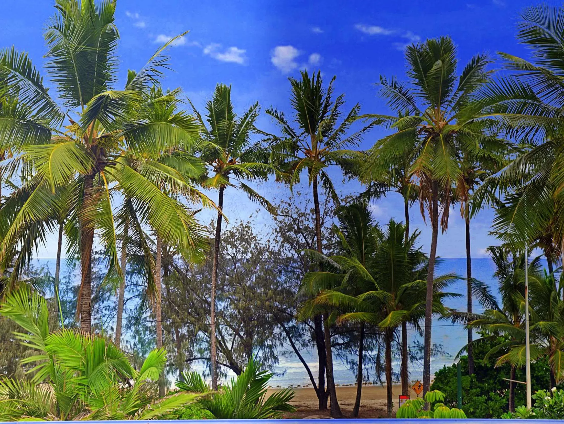 View (from property/room) in By The Sea Port Douglas