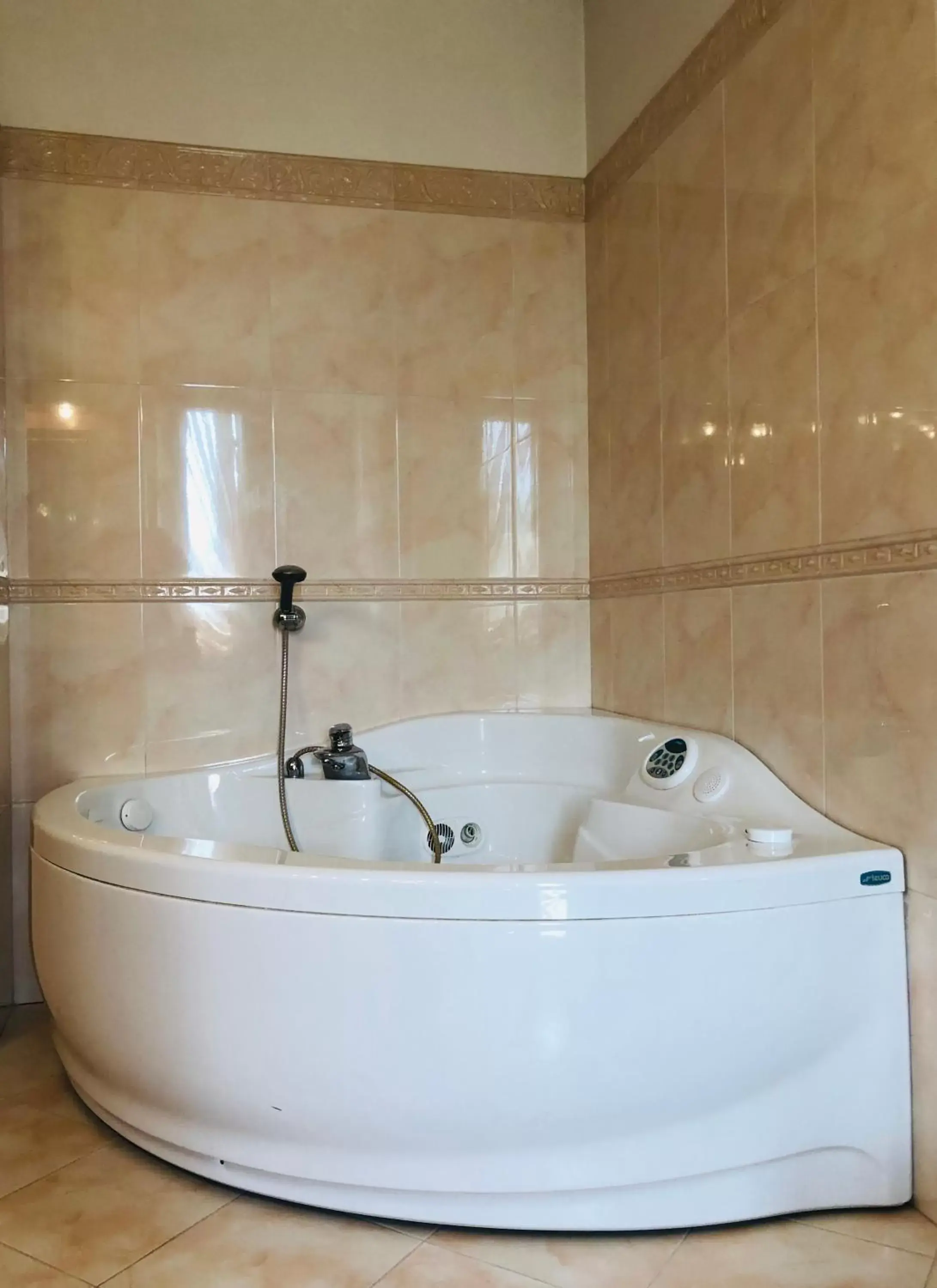 Hot Tub, Bathroom in Villamoreno