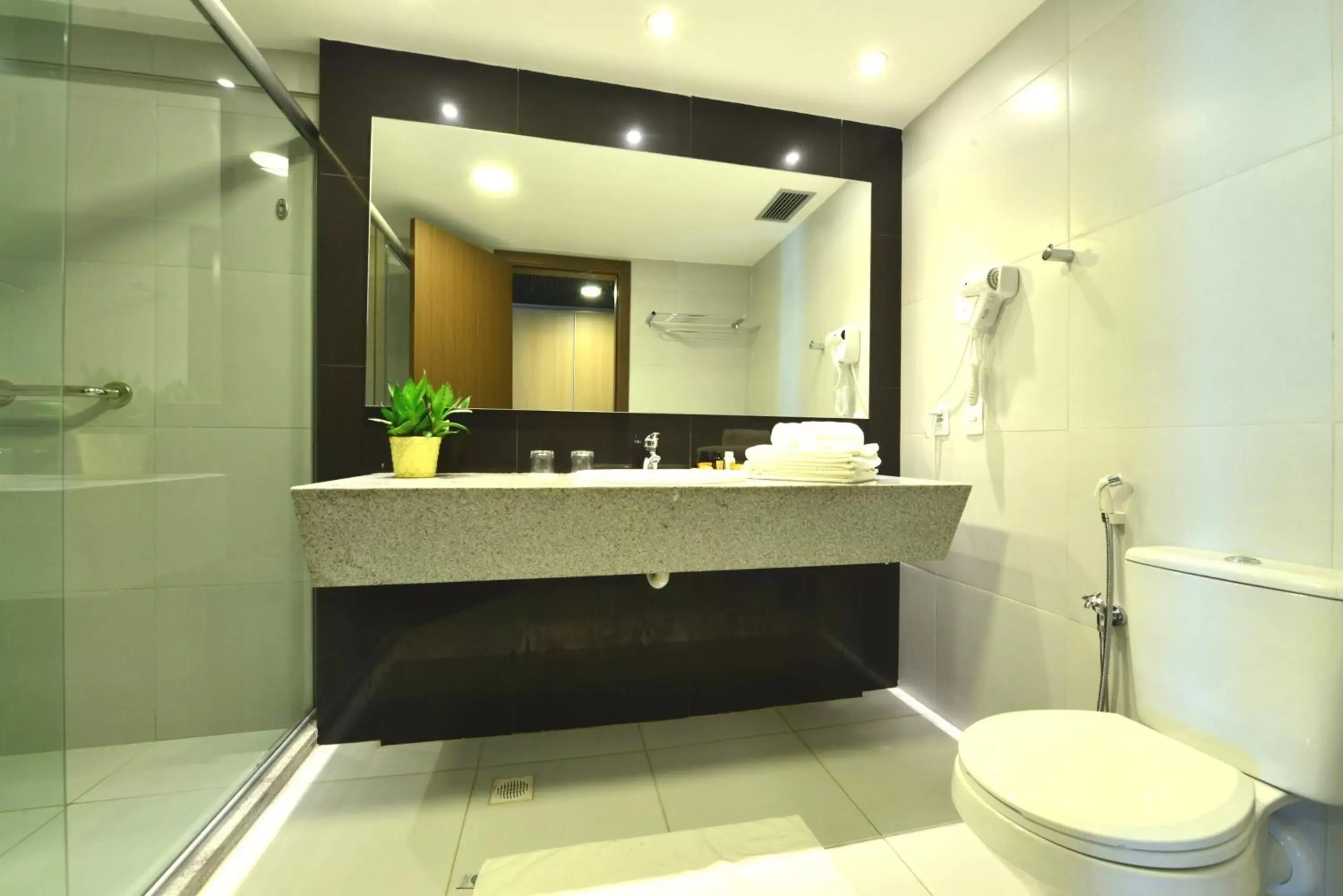 Toilet, Bathroom in Gran Mareiro Hotel