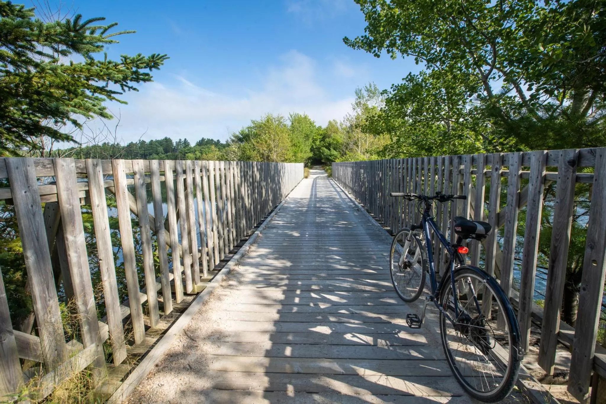 Cycling in River Ridge Lodge