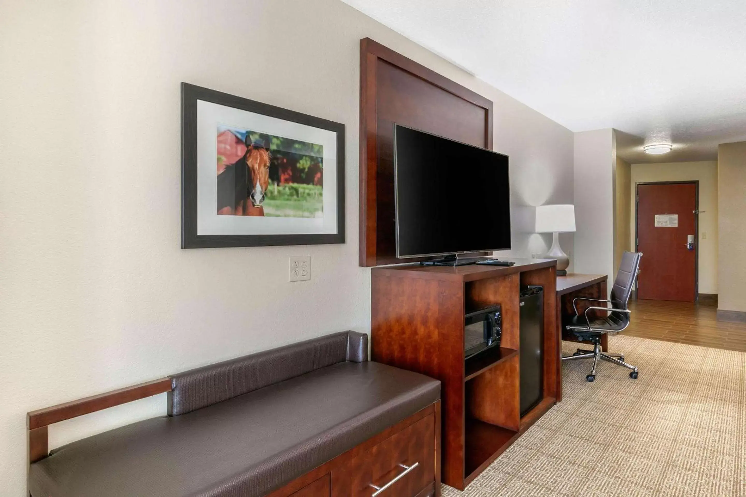 Photo of the whole room, TV/Entertainment Center in Comfort Suites Hopkinsville