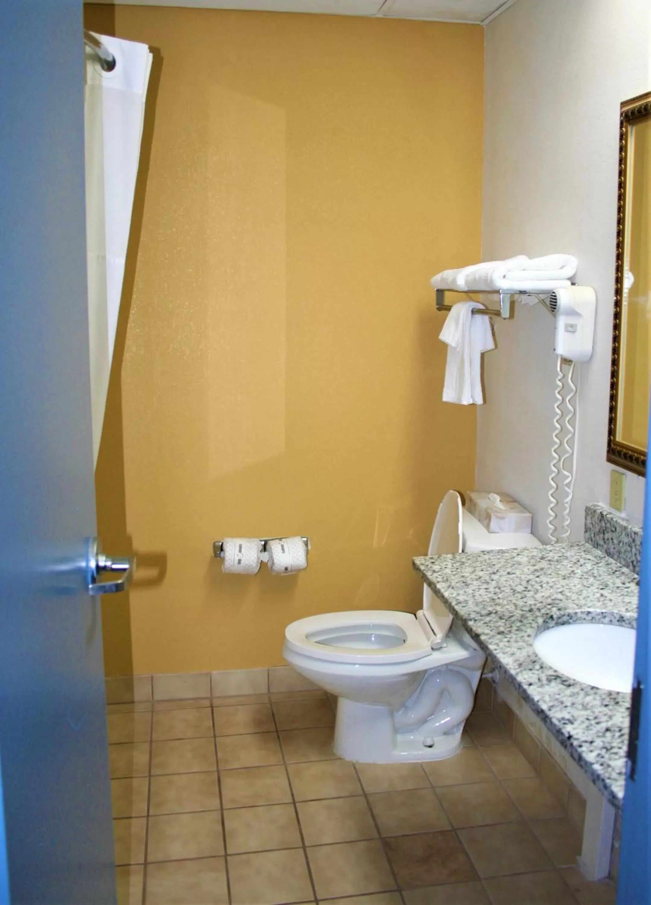 Toilet, Bathroom in Quality Suites Martinsburg