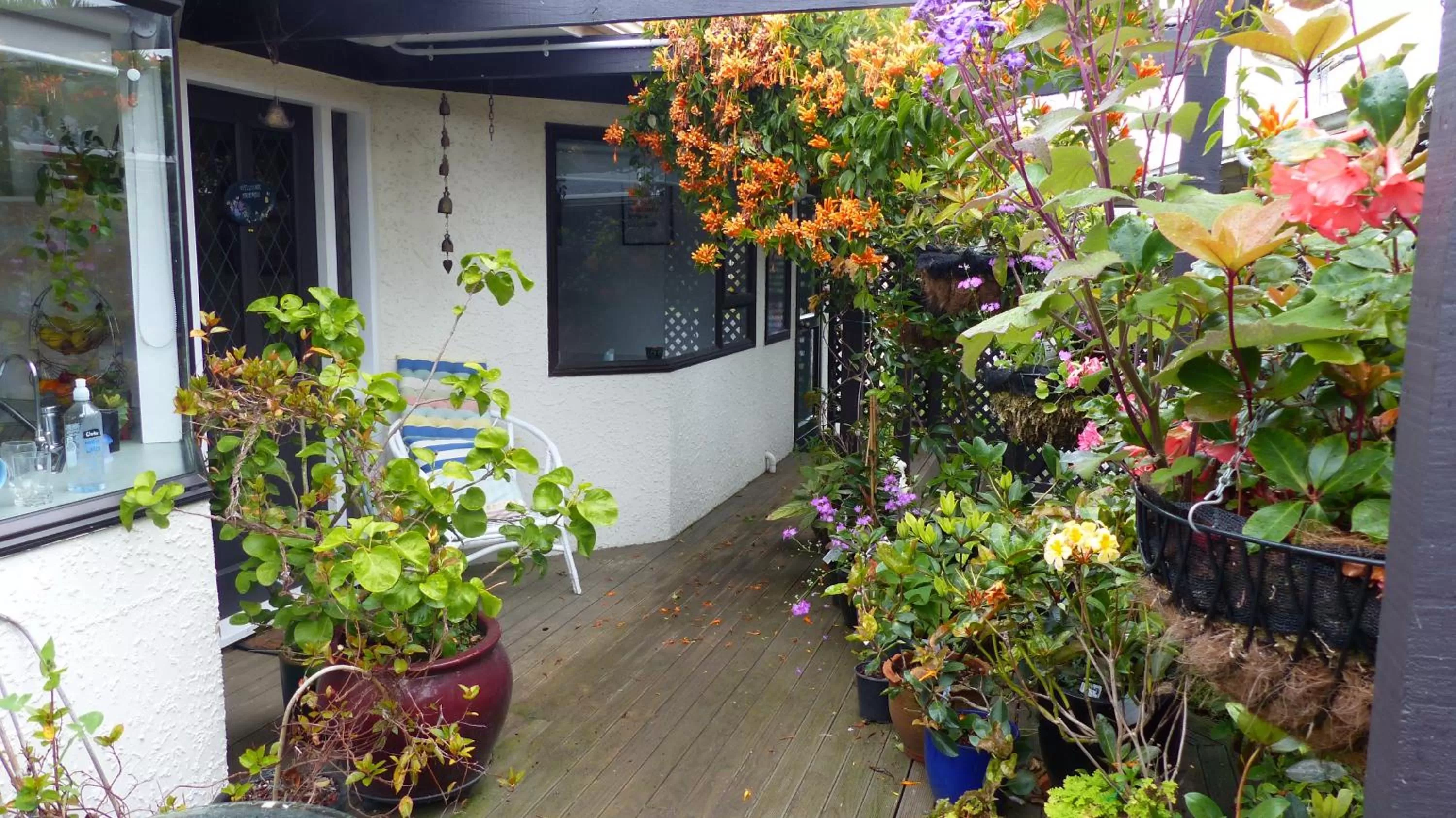 Garden view in Ashcroft Gardens Bed & Breakfast