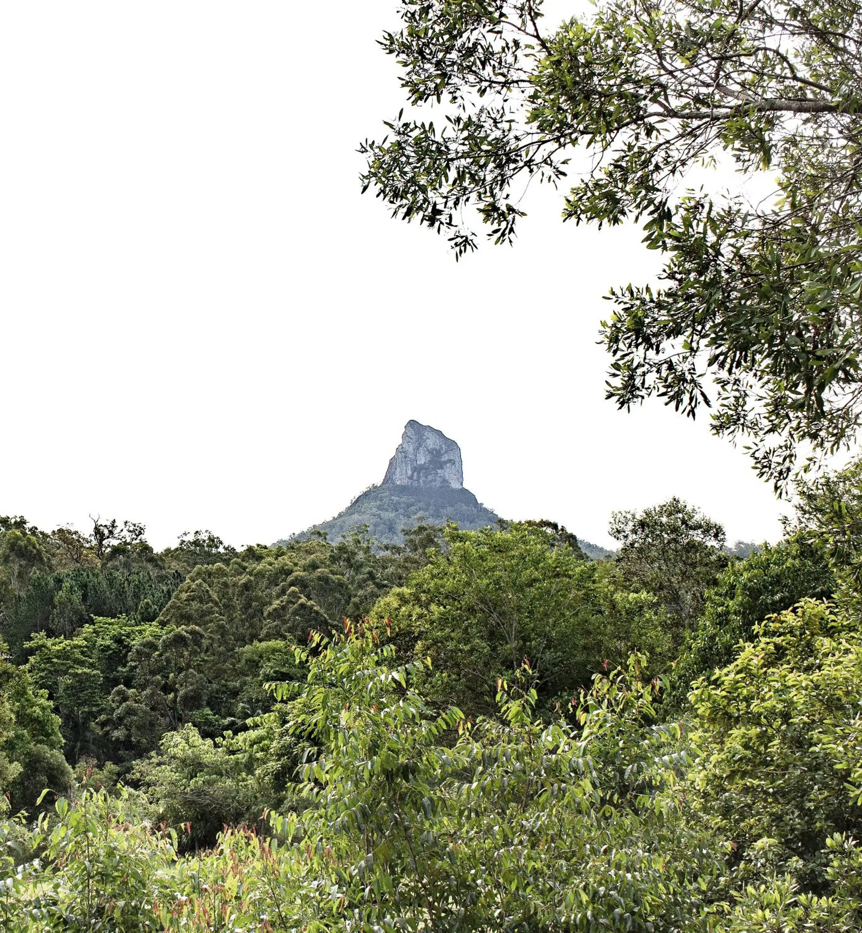 Mountain View in Glass On Glasshouse