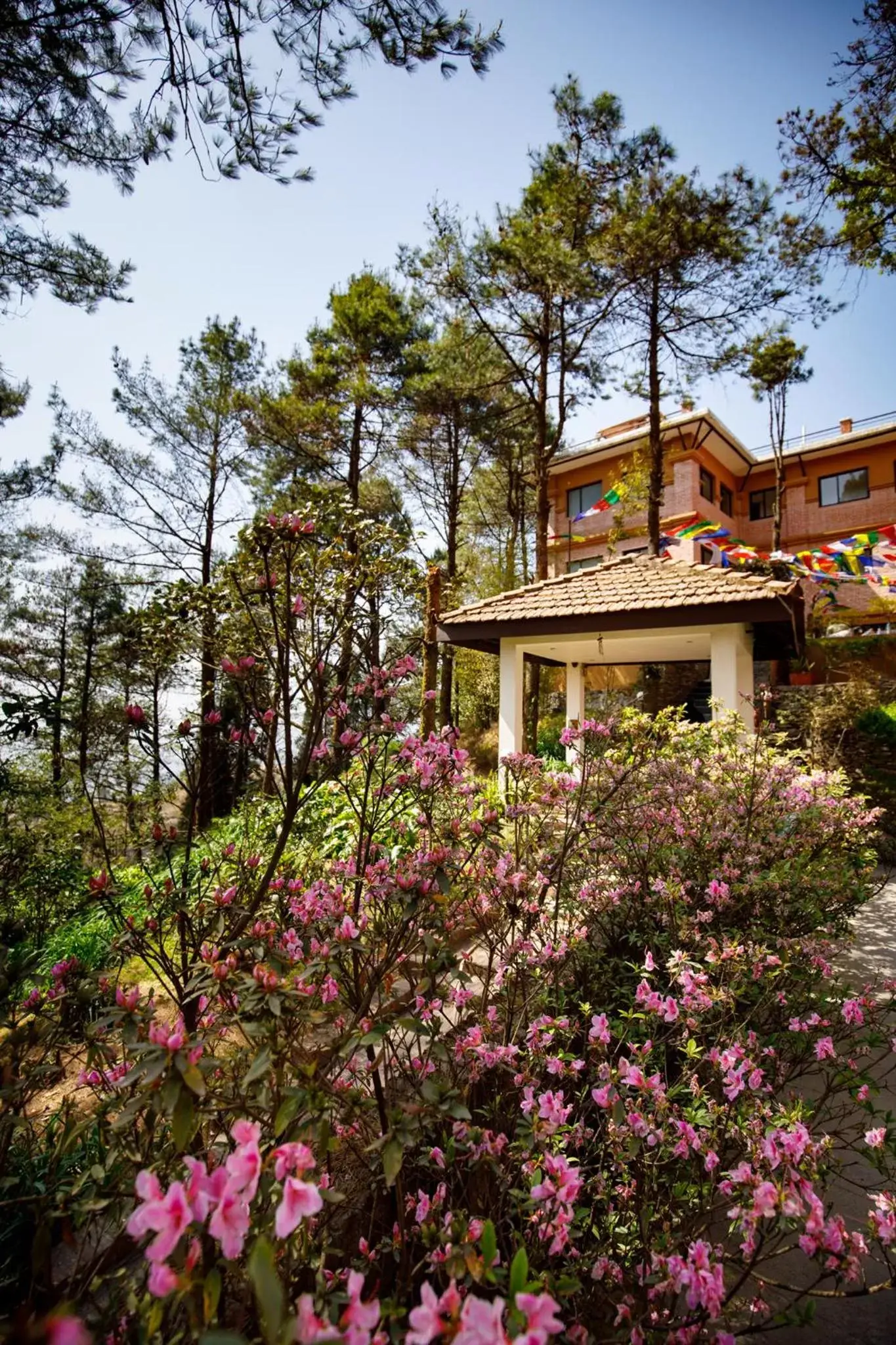 Spring, Property Building in Club Himalaya, by ACE Hotels